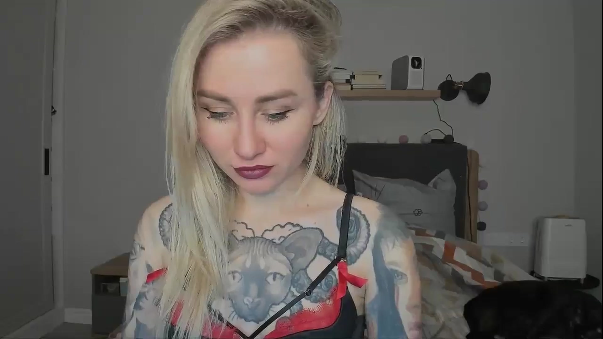 Gallery image thumbnail from Alexa_Smithhh's myfreecams stream on, 11/19/2024, 18:31 image 15 of 20