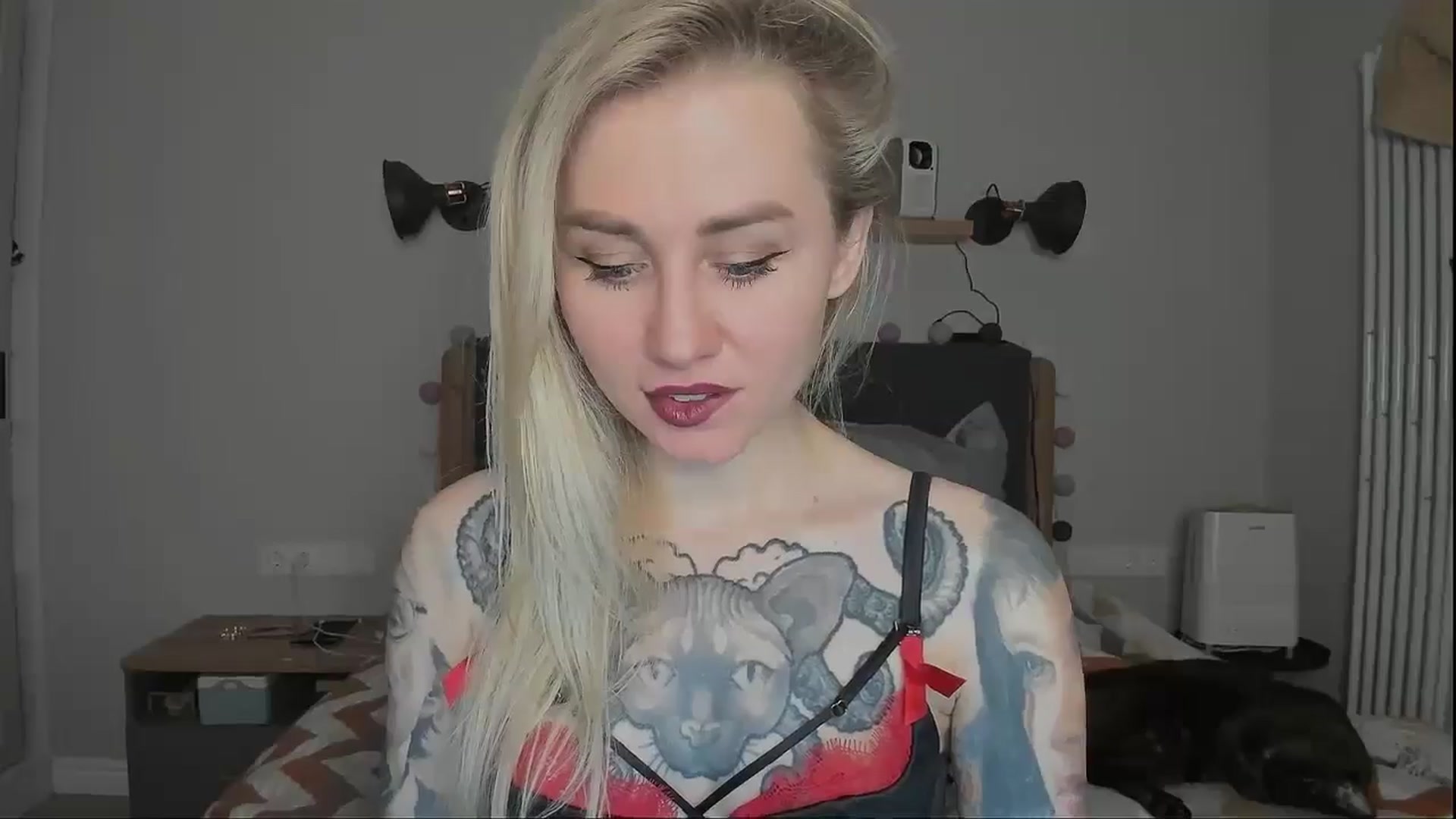 Gallery image thumbnail from Alexa_Smithhh's myfreecams stream on, 11/19/2024, 19:18 image 11 of 20