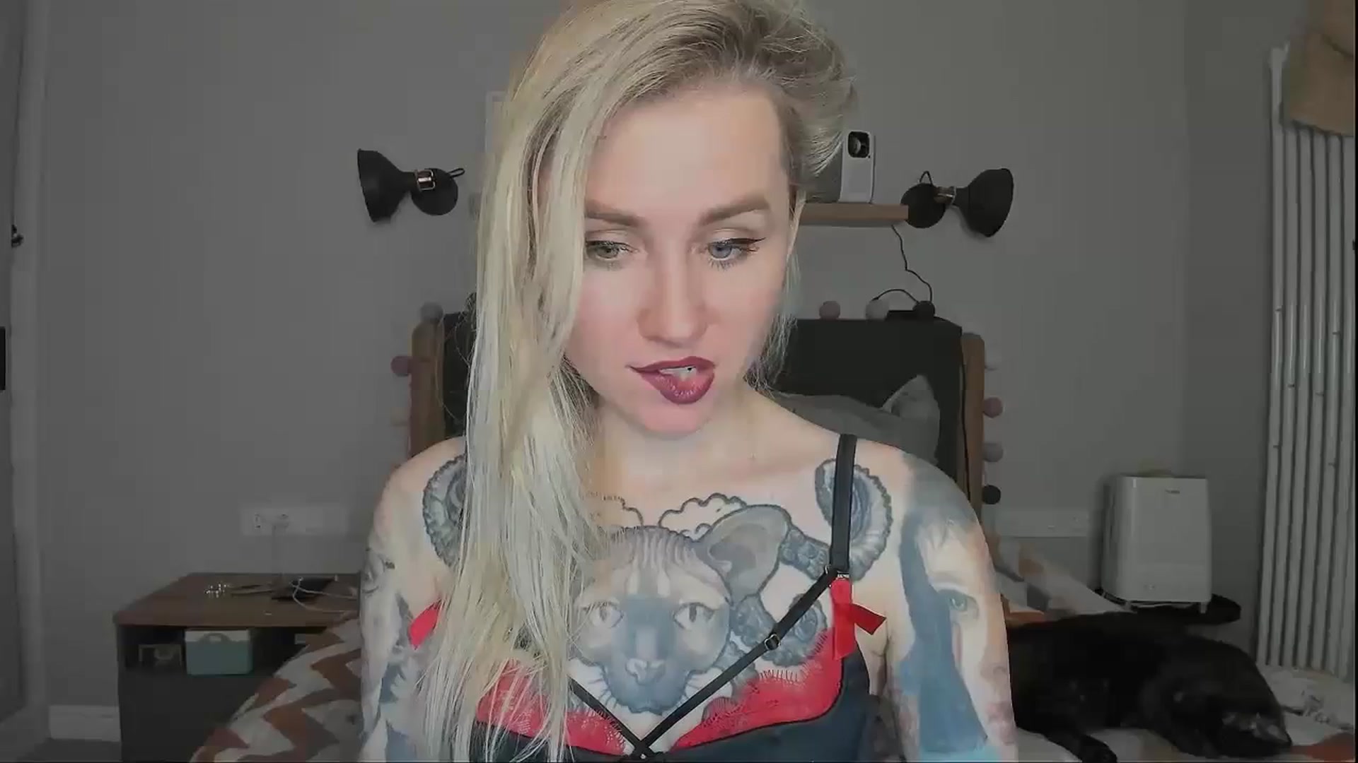 Gallery image thumbnail from Alexa_Smithhh's myfreecams stream on, 11/19/2024, 19:18 image 13 of 20