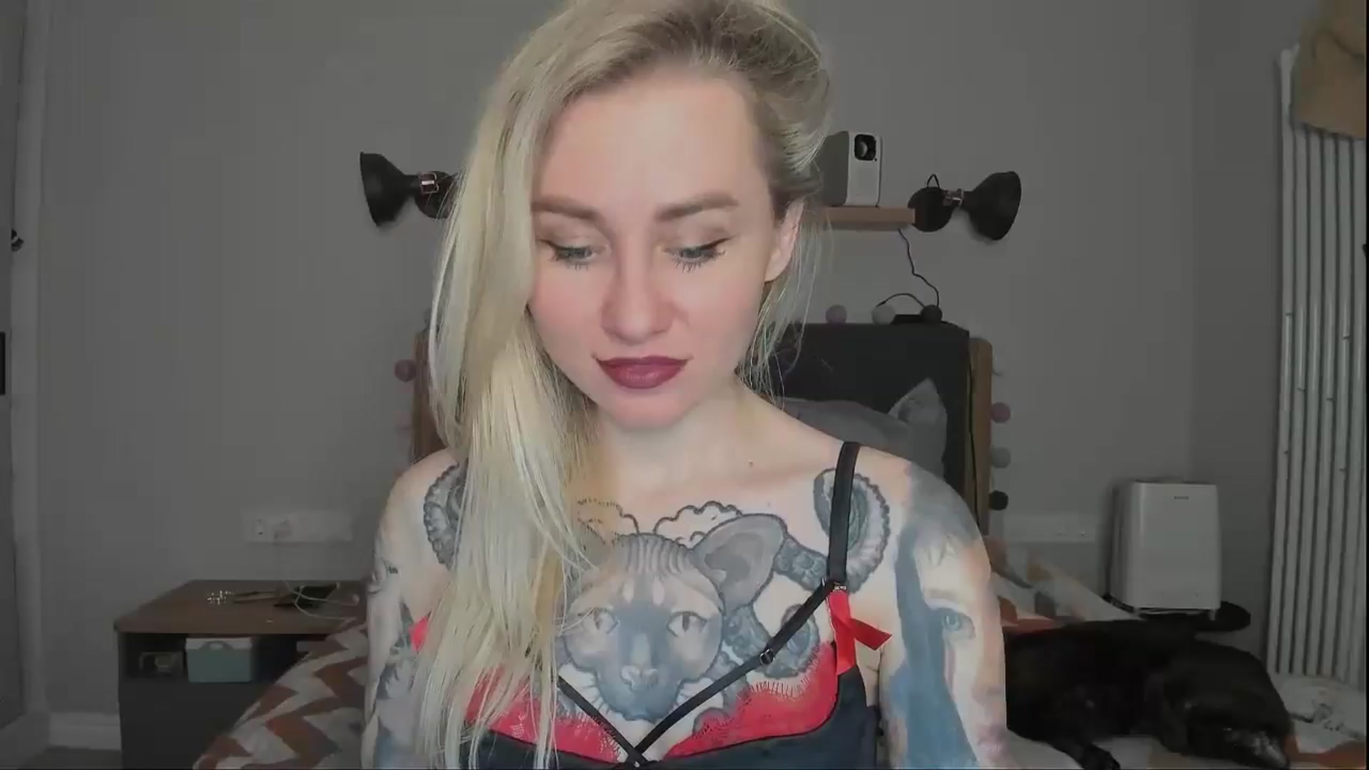 Gallery image thumbnail from Alexa_Smithhh's myfreecams stream on, 11/19/2024, 19:18 image 10 of 20