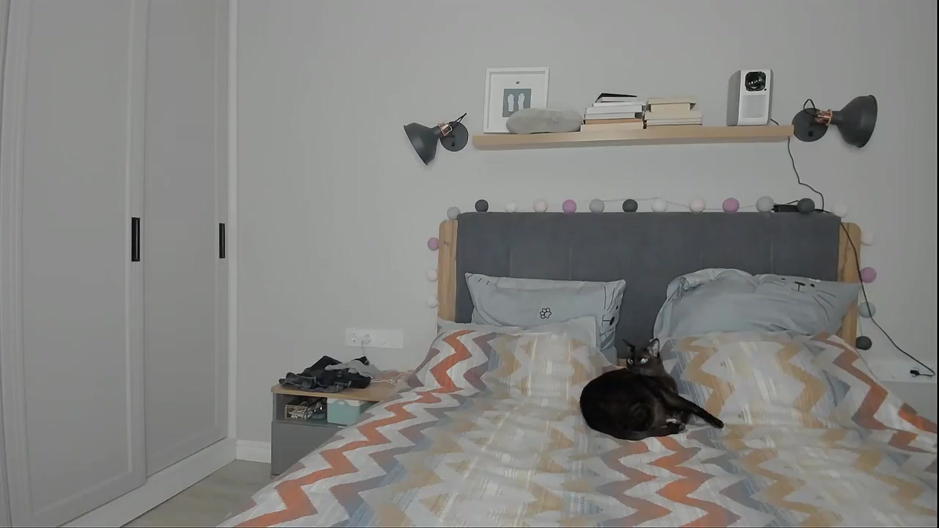 Gallery image thumbnail from Alexa_Smithhh's myfreecams stream on, 11/30/2024, 19:03 image 9 of 20