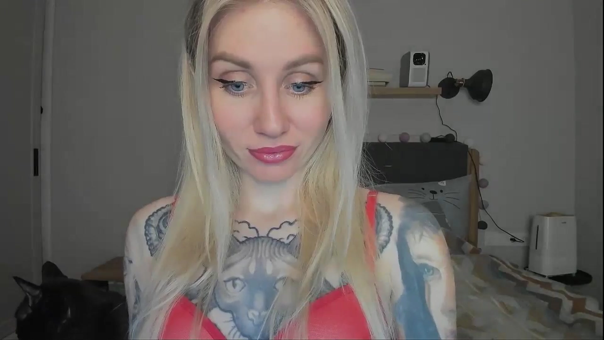 Gallery image thumbnail from Alexa_Smithhh's myfreecams stream on, 12/06/2024, 18:11 image 7 of 20