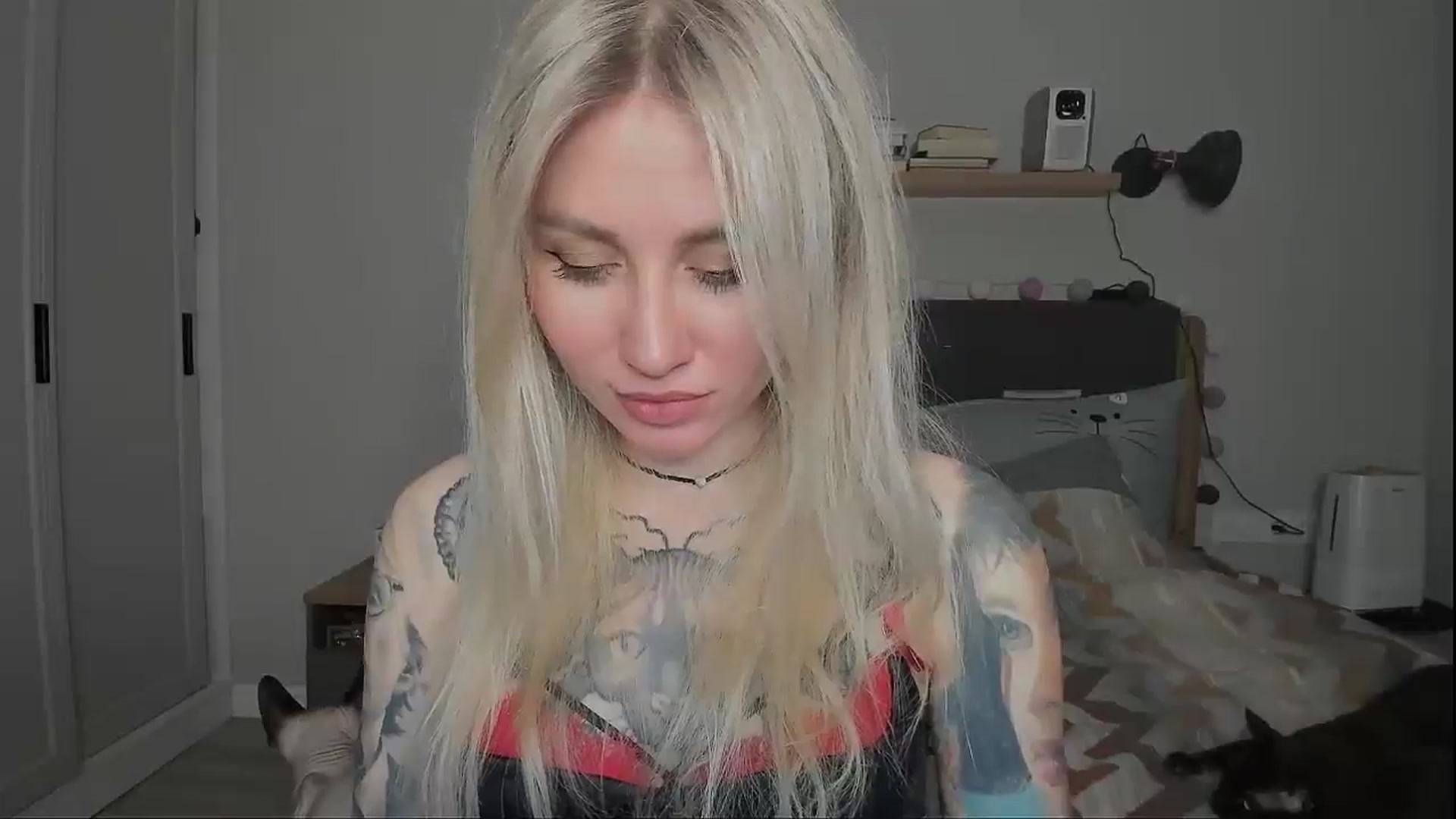 Gallery image thumbnail from Alexa_Smithhh's myfreecams stream on, 12/08/2024, 18:50 image 9 of 20