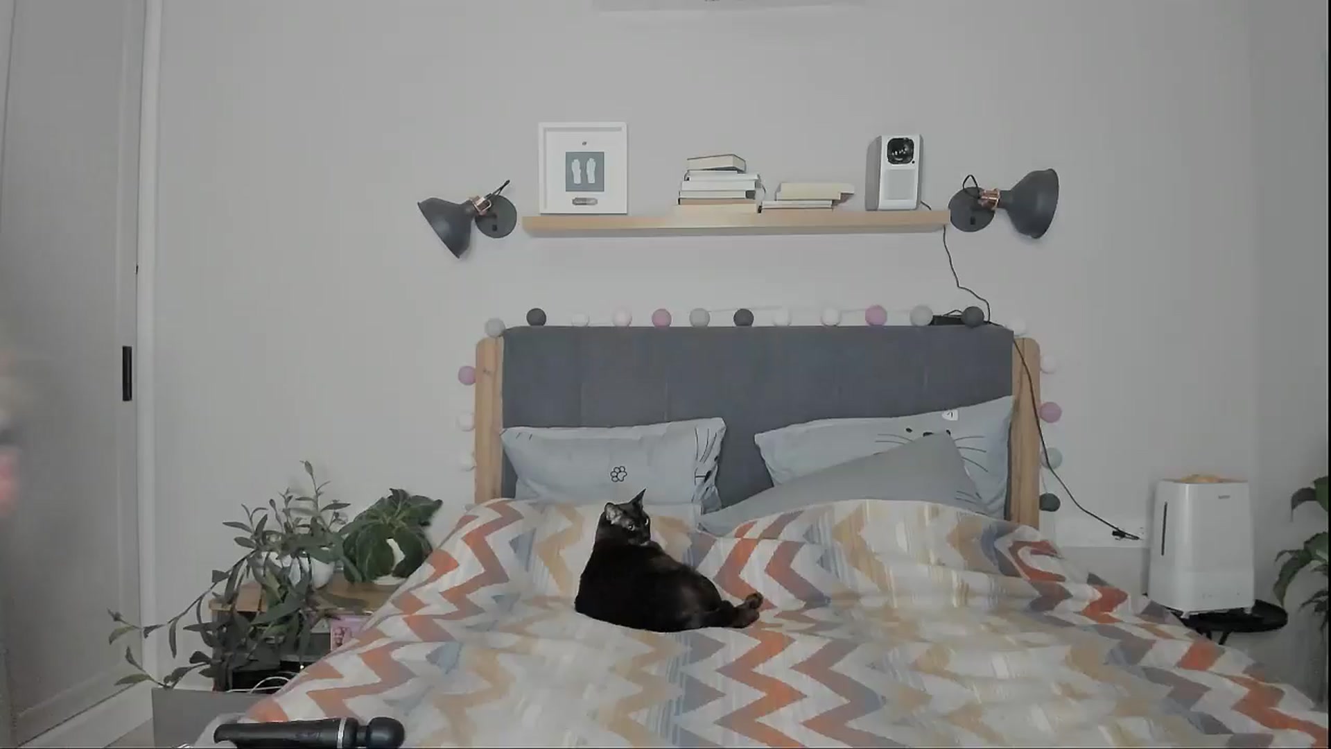 Gallery image thumbnail from Alexa_Smithhh's myfreecams stream on, 12/12/2024, 18:47 image 16 of 20