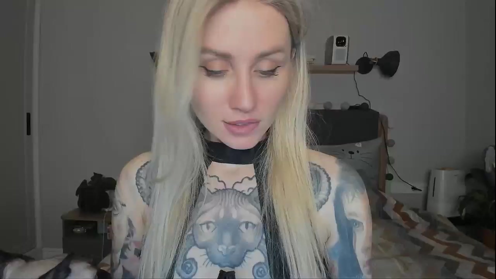 Gallery image thumbnail from Alexa_Smithhh's myfreecams stream on, 12/15/2024, 18:52 image 2 of 20