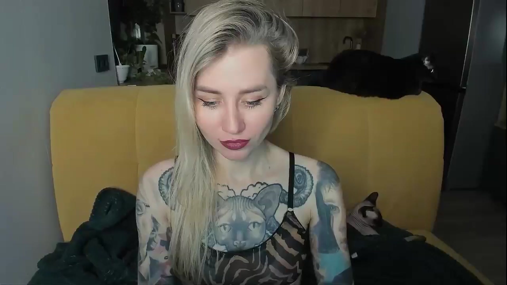 Gallery image thumbnail from Alexa_Smithhh's myfreecams stream on, 12/23/2024, 19:33 image 1 of 20