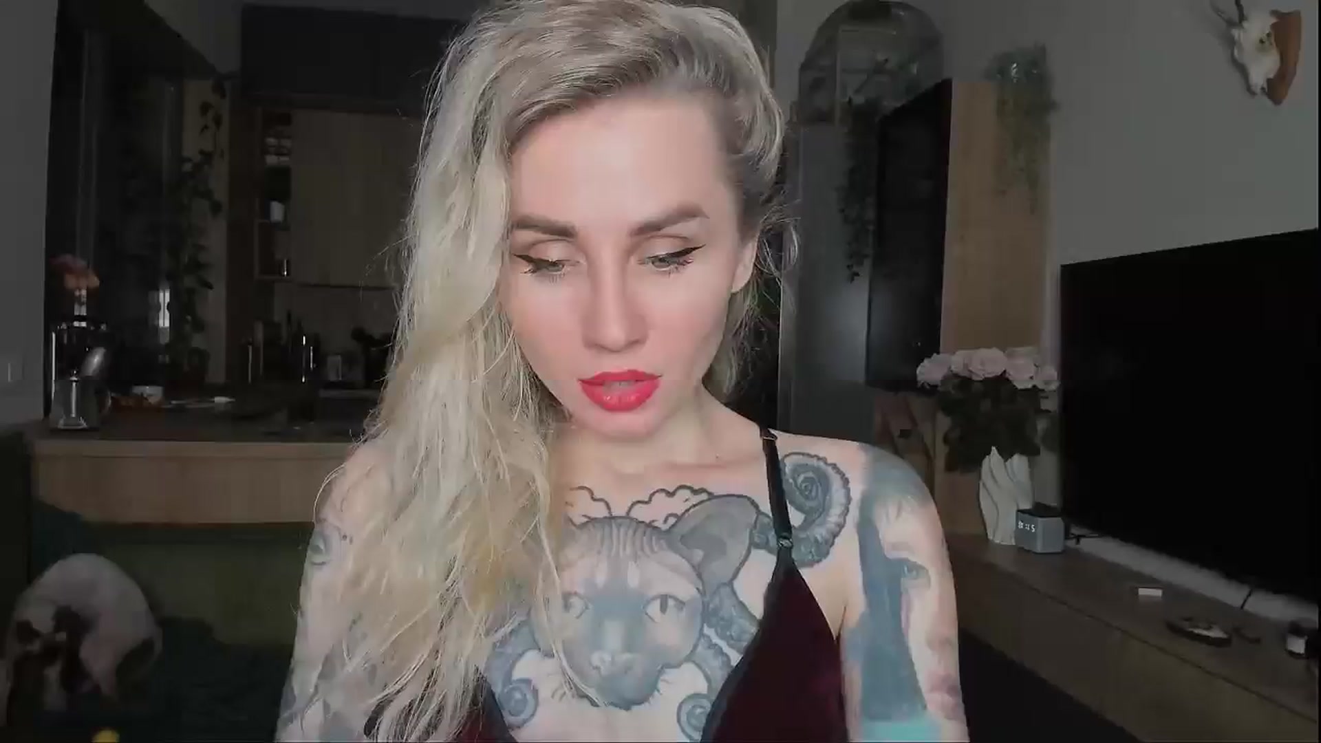 Gallery image thumbnail from Alexa_Smithhh's myfreecams stream on, 01/30/2025, 18:24 image 14 of 20