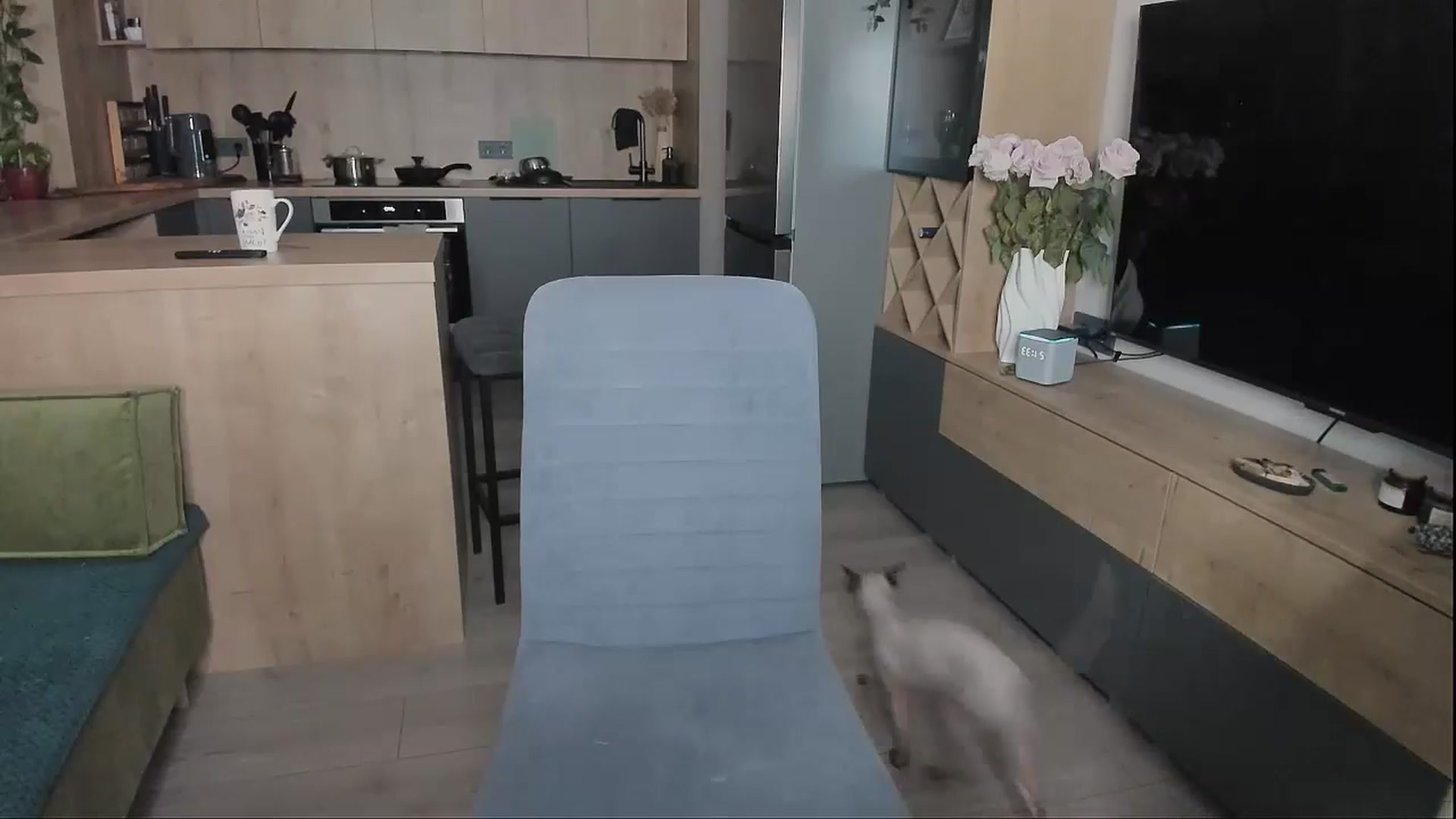 Gallery image thumbnail from Alexa_Smithhh's myfreecams stream on, 02/02/2025, 18:43 image 8 of 20