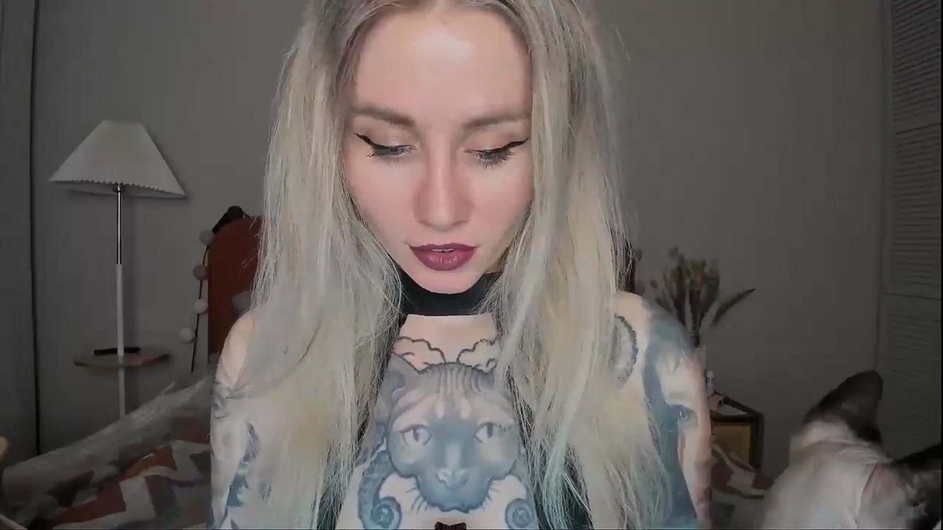 Gallery image thumbnail from Alexa_Smithhh's myfreecams stream on, 04/17/2025, 17:59 image 3 of 20