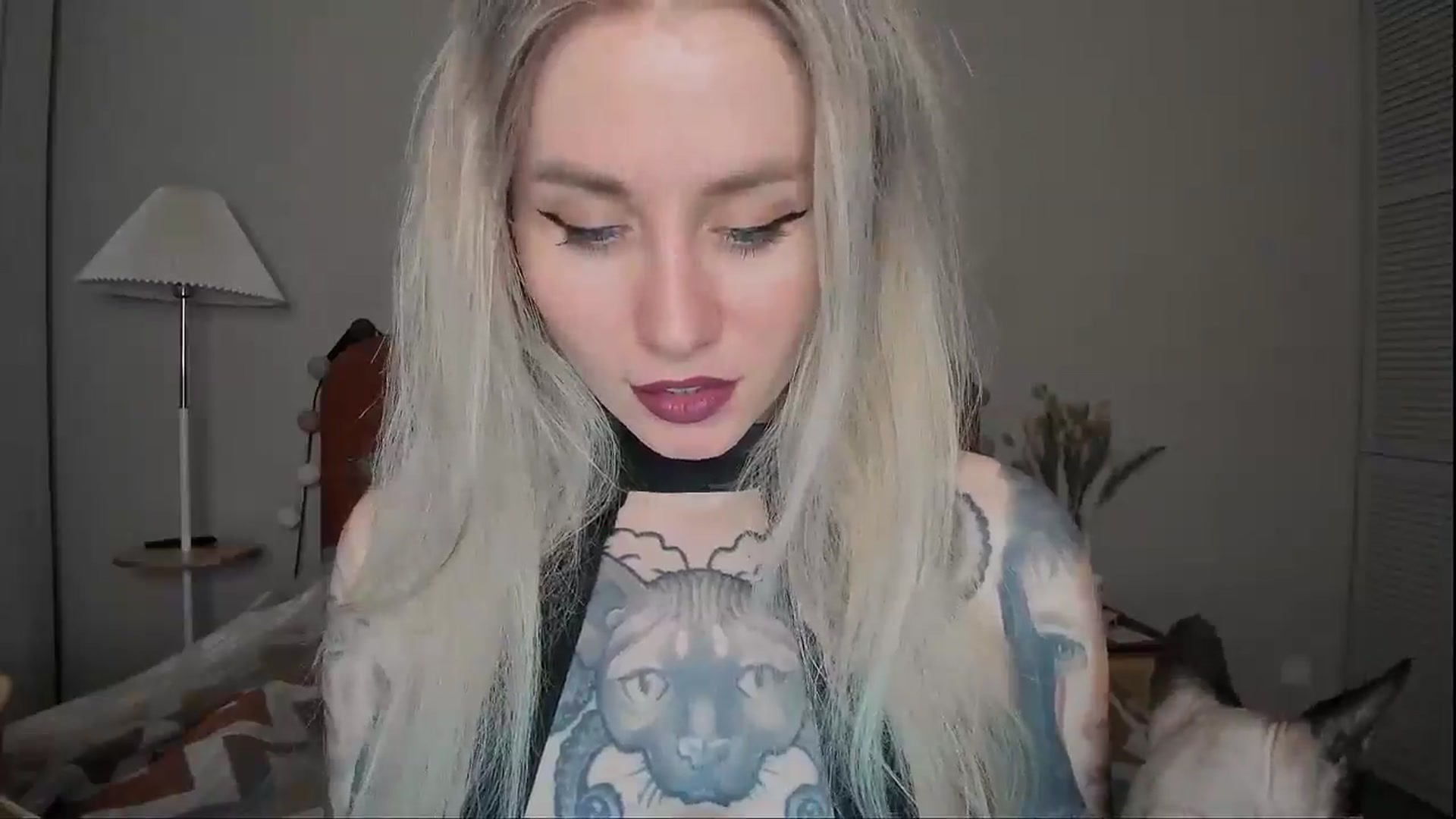 Gallery image thumbnail from Alexa_Smithhh's myfreecams stream on, 04/17/2025, 17:59 image 2 of 20