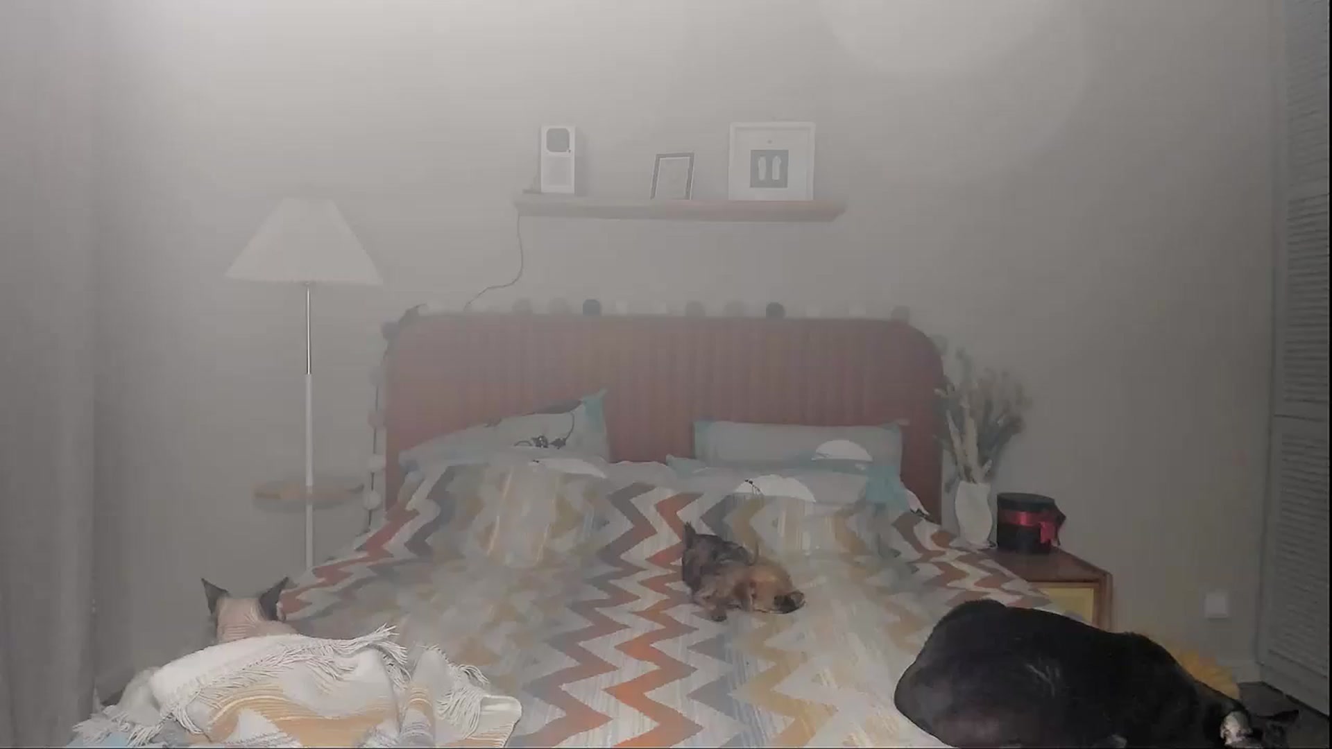 Gallery image thumbnail from Alexa_Smithhh's myfreecams stream on, 07/14/2025, 20:30 image 19 of 20