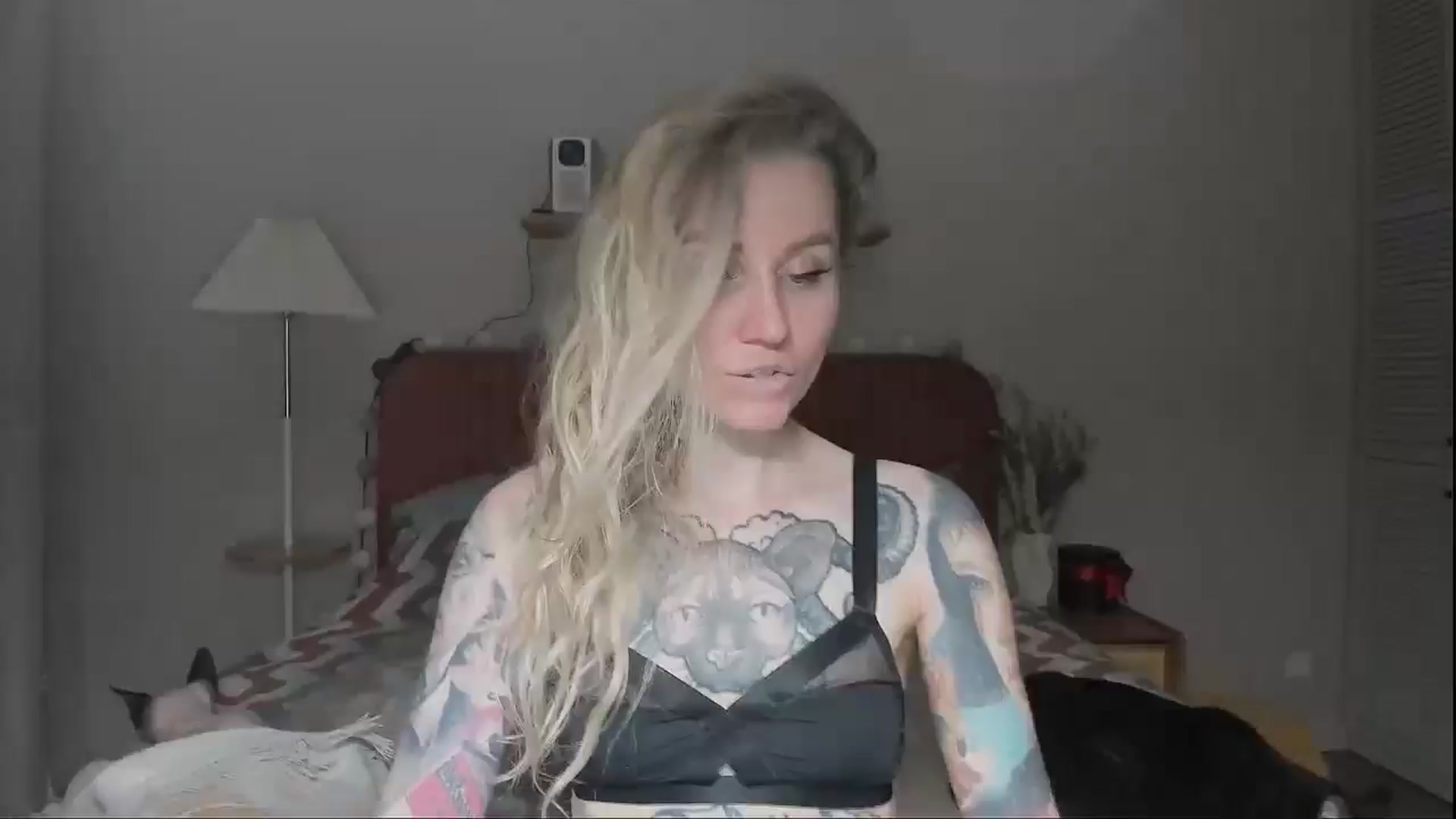 Gallery image thumbnail from Alexa_Smithhh's myfreecams stream on, 07/14/2025, 20:30 image 18 of 20