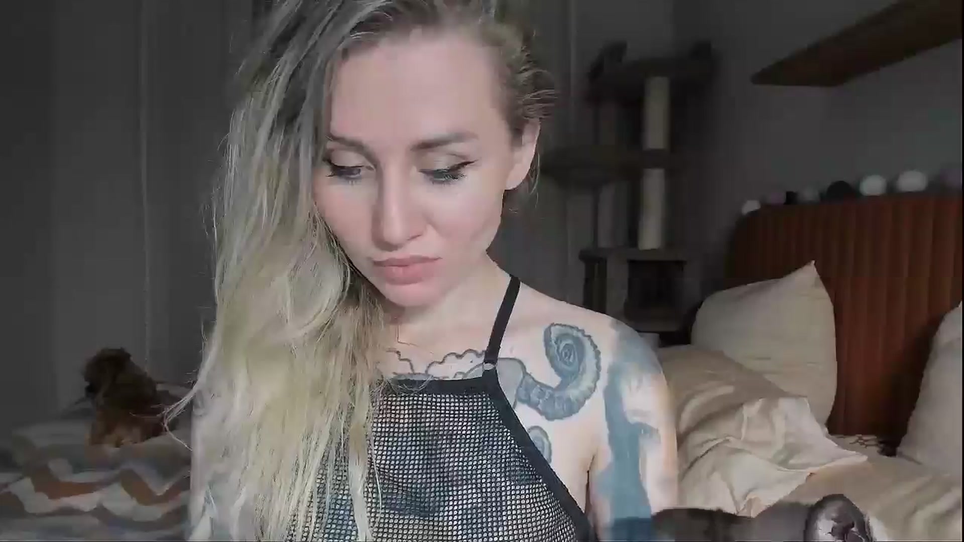 Gallery image thumbnail from Alexa_Smithhh's myfreecams stream on, 09/17/2025, 20:52 image 12 of 20