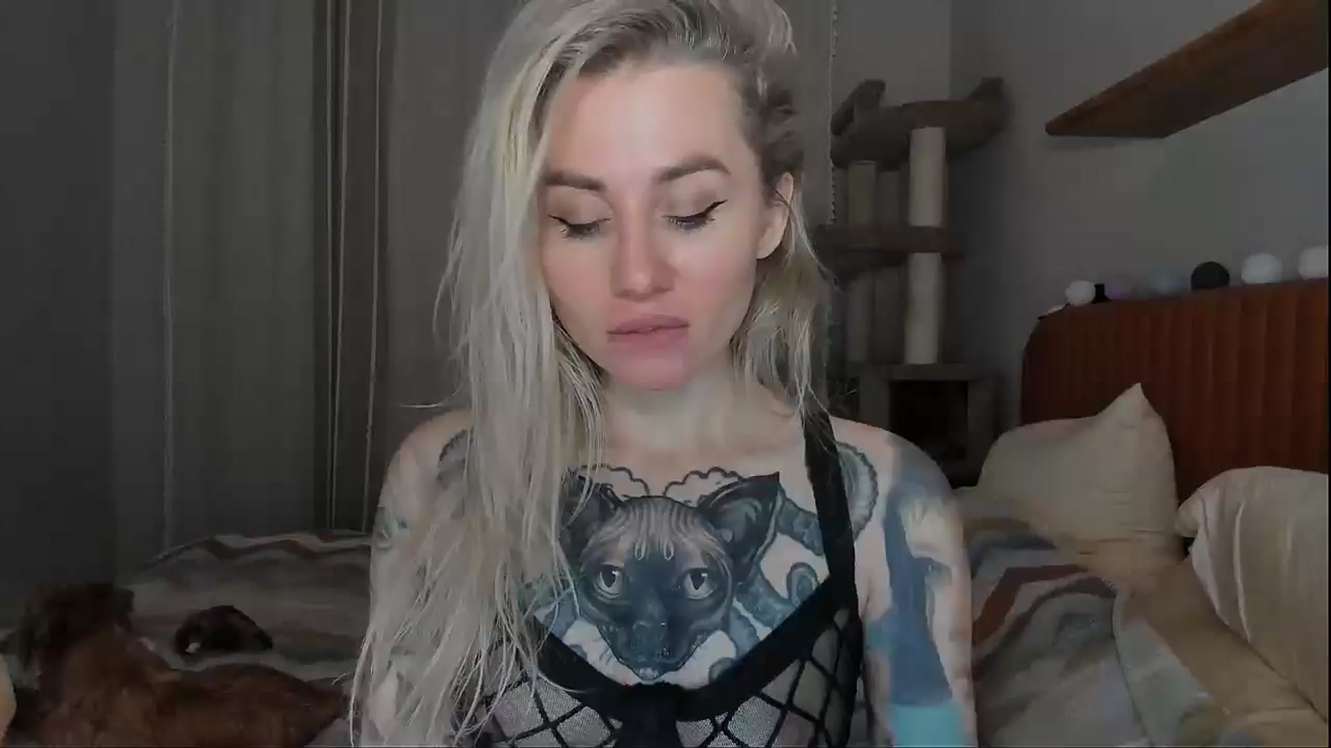 Gallery image thumbnail from Alexa_Smithhh's myfreecams stream on, 09/25/2025, 20:05 image 1 of 20
