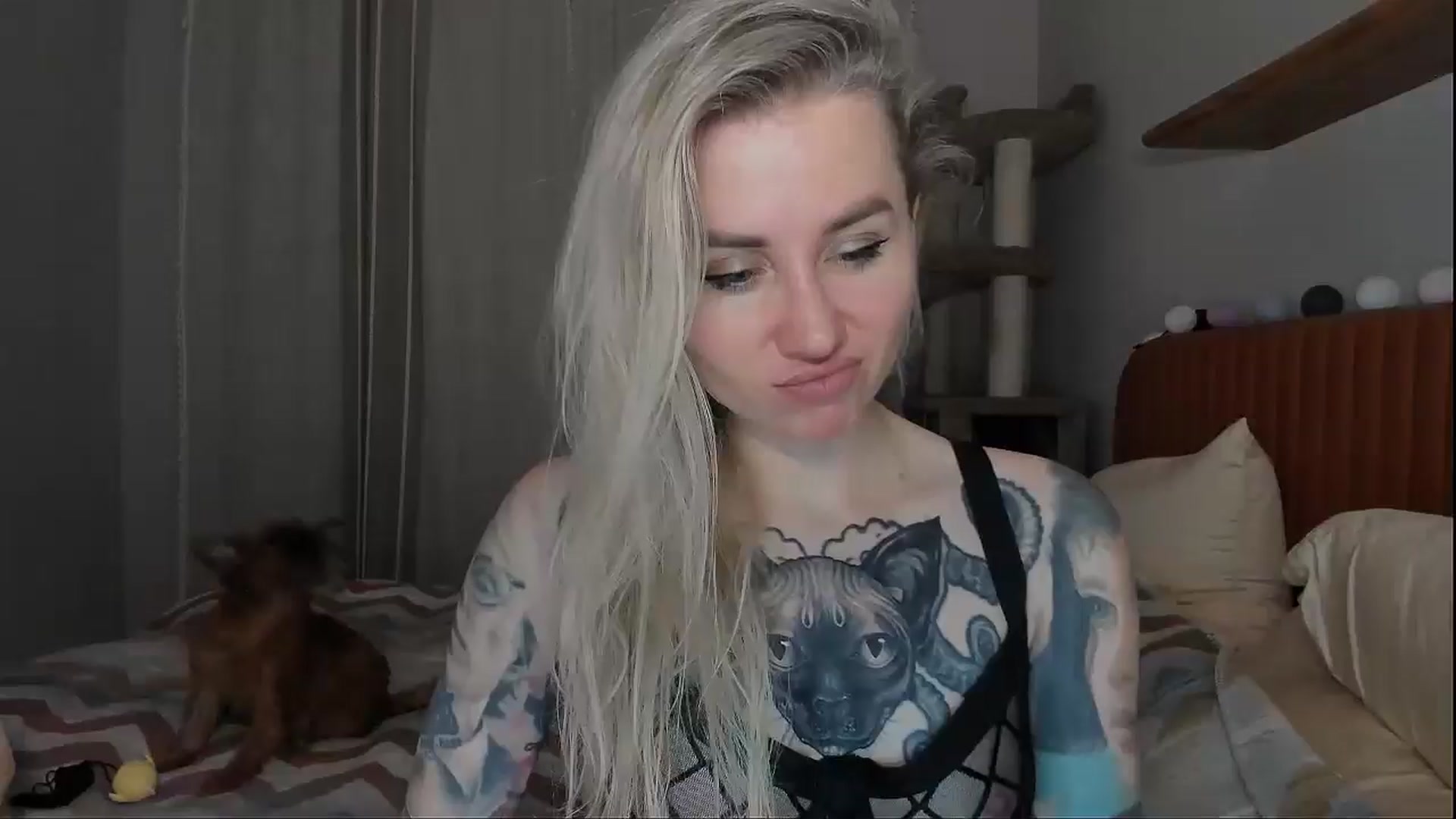 Gallery image thumbnail from Alexa_Smithhh's myfreecams stream on, 09/25/2025, 20:05 image 2 of 20