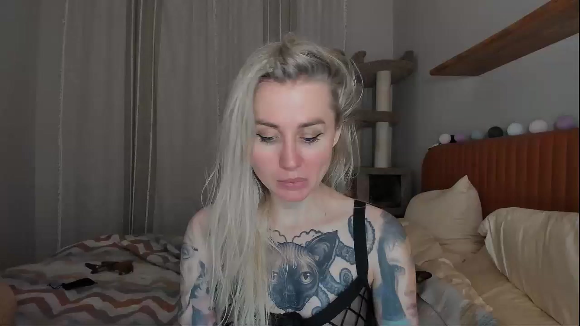 Gallery image thumbnail from Alexa_Smithhh's myfreecams stream on, 09/25/2025, 20:05 image 18 of 20
