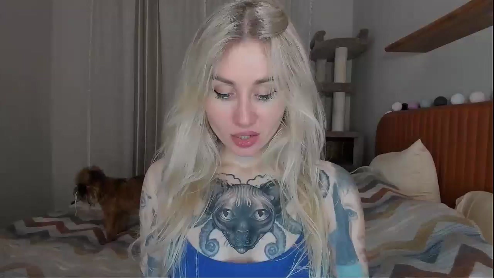 Gallery image thumbnail from Alexa_Smithhh's myfreecams stream on, 09/30/2025, 20:01 image 3 of 20