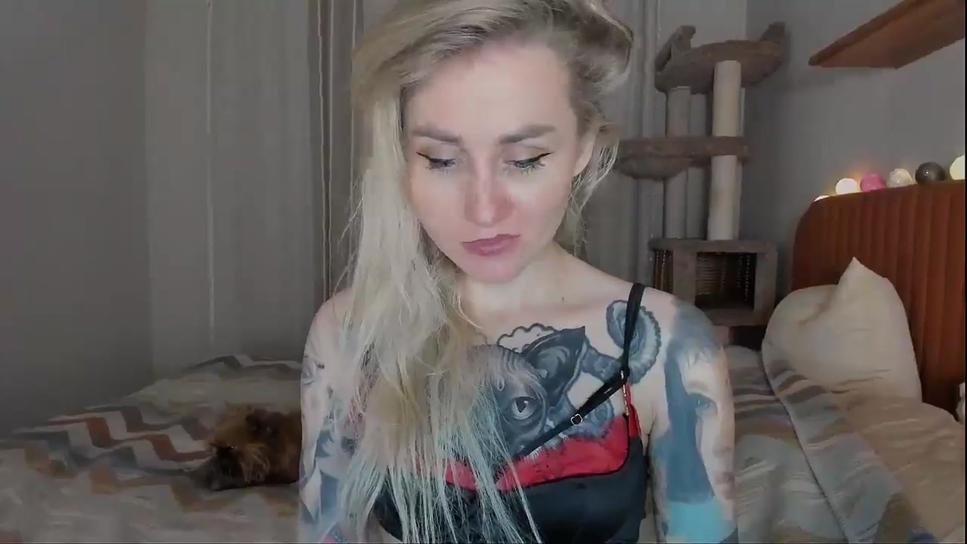 Gallery image thumbnail from Alexa_Smithhh's myfreecams stream on, 10/02/2025, 21:27 image 7 of 20