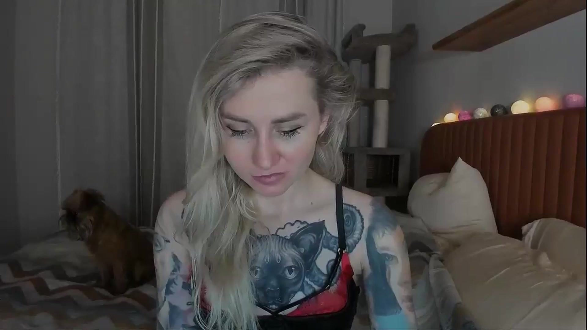 Gallery image thumbnail from Alexa_Smithhh's myfreecams stream on, 10/02/2025, 21:27 image 19 of 20