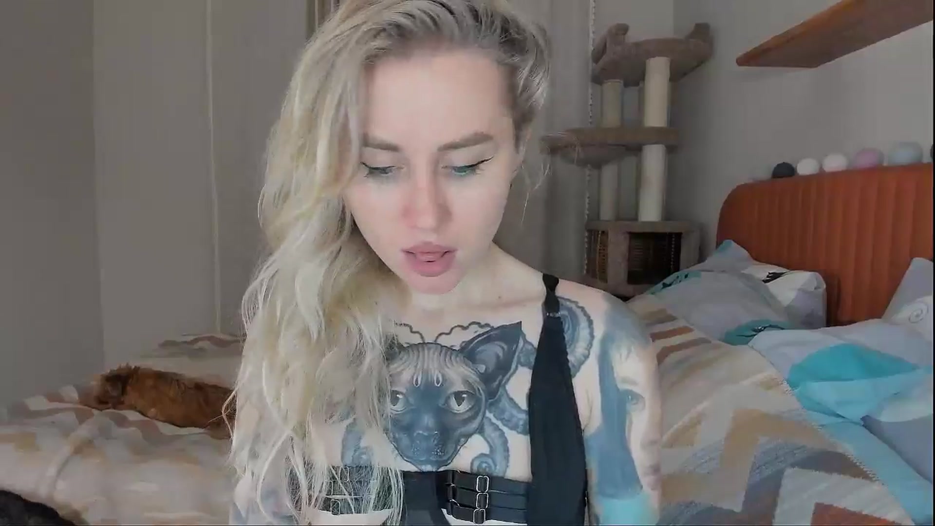 Gallery image thumbnail from Alexa_Smithhh's myfreecams stream on, 10/07/2025, 18:19 image 17 of 20