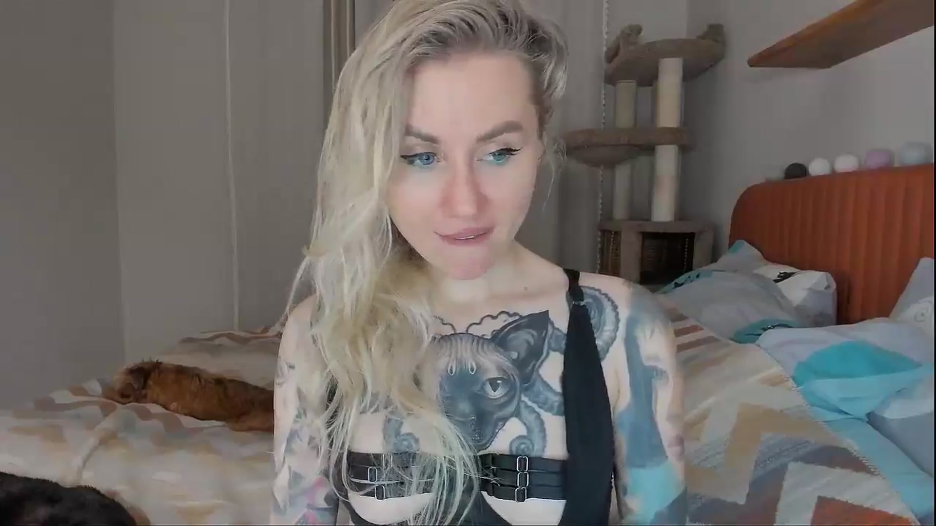 Gallery image thumbnail from Alexa_Smithhh's myfreecams stream on, 10/07/2025, 18:19 image 15 of 20