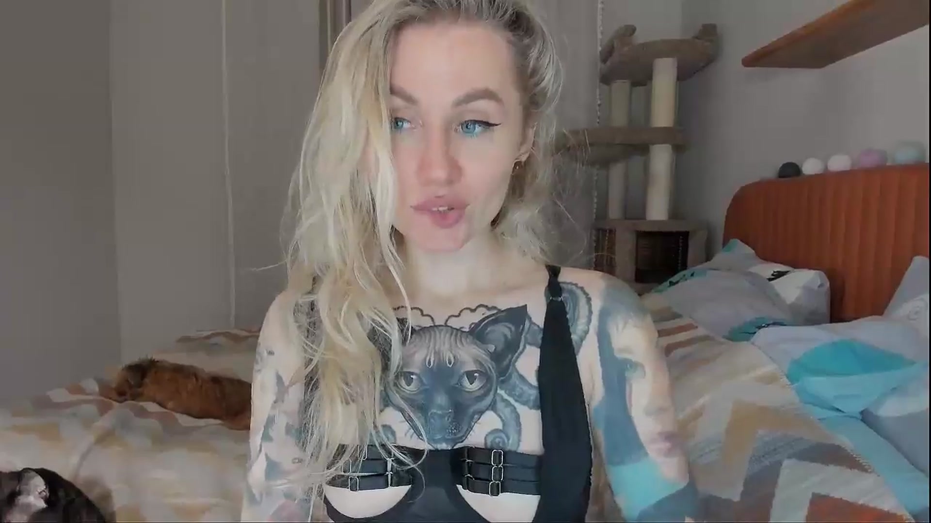 Gallery image thumbnail from Alexa_Smithhh's myfreecams stream on, 10/07/2025, 18:19 image 14 of 20