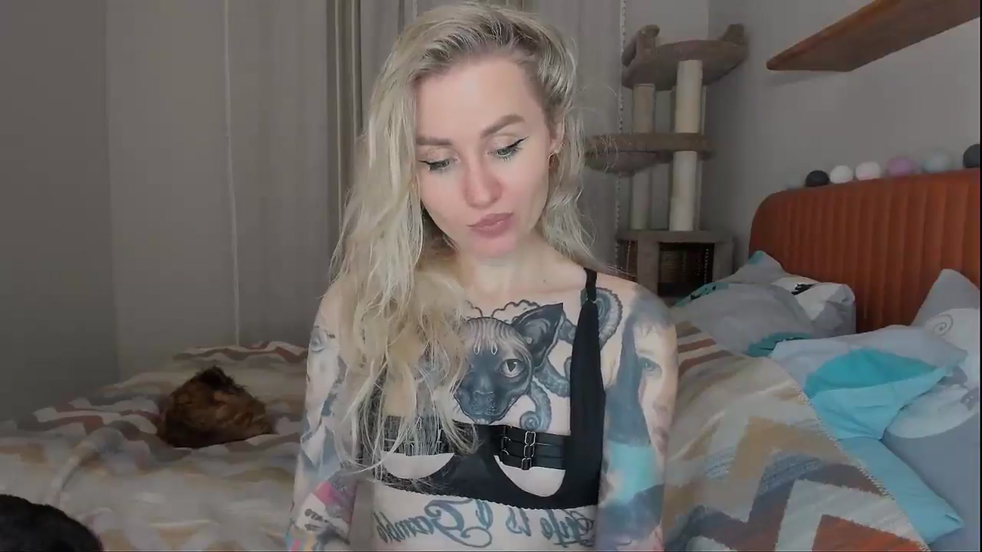 Gallery image thumbnail from Alexa_Smithhh's myfreecams stream on, 10/07/2025, 18:19 image 11 of 20