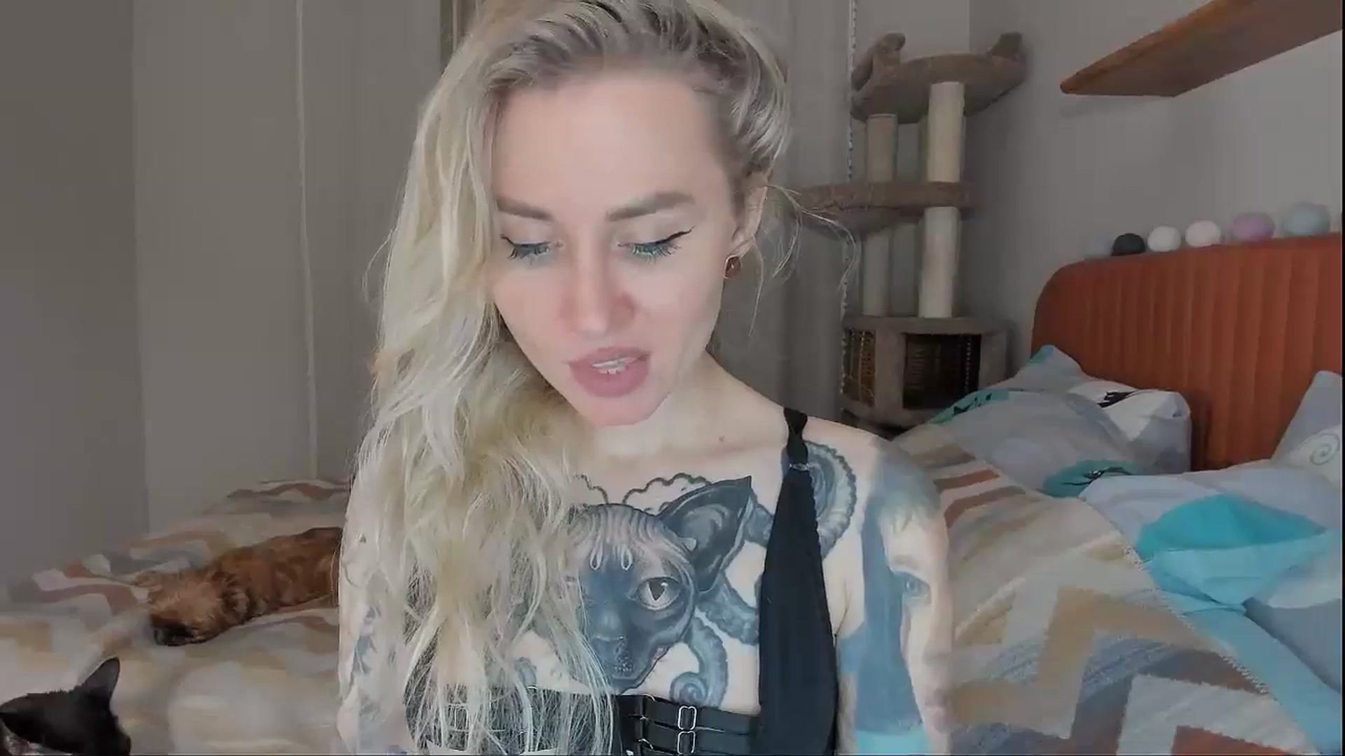 Gallery image thumbnail from Alexa_Smithhh's myfreecams stream on, 10/07/2025, 18:19 image 20 of 20
