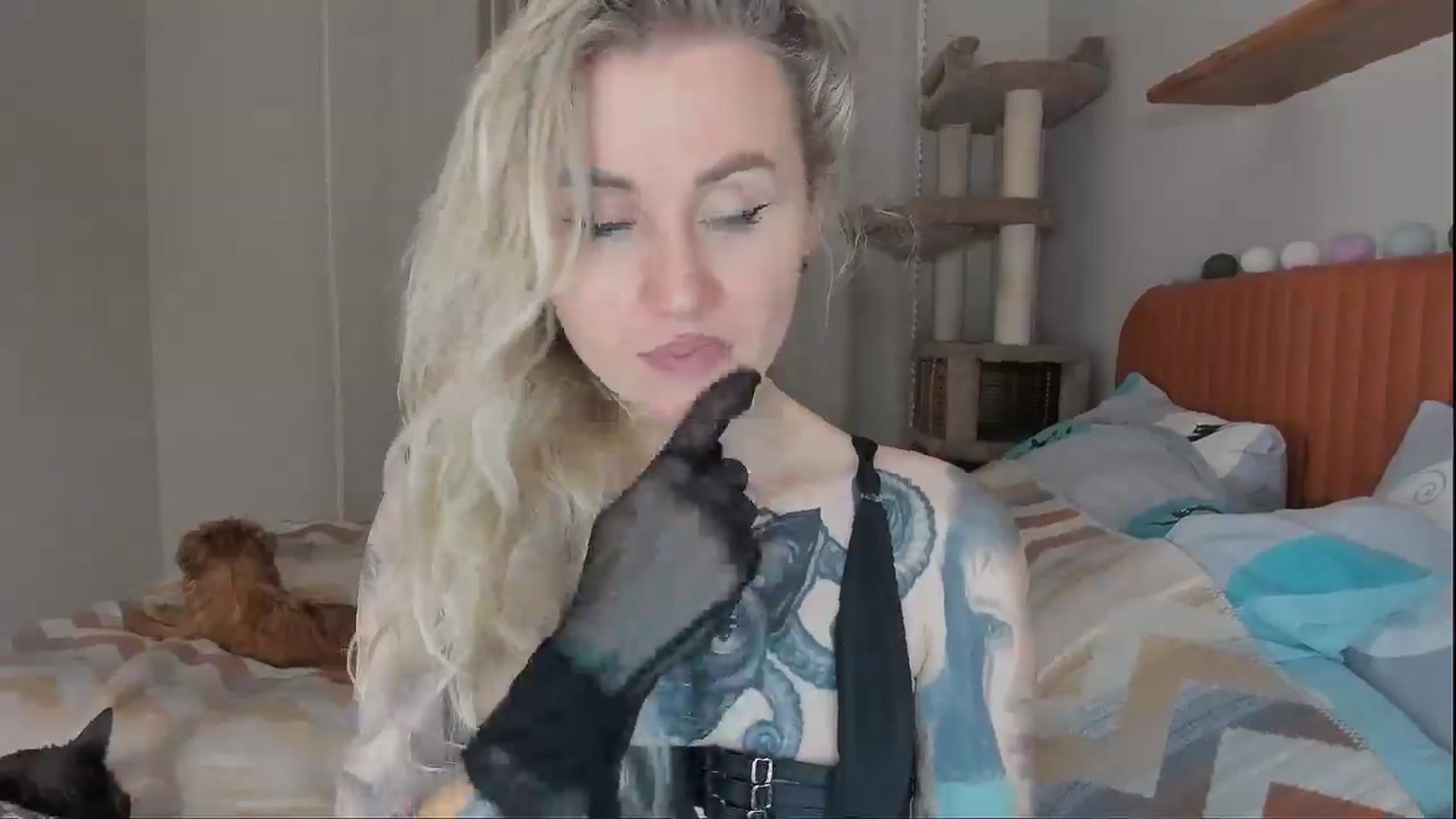 Gallery image thumbnail from Alexa_Smithhh's myfreecams stream on, 10/07/2025, 18:19 image 19 of 20