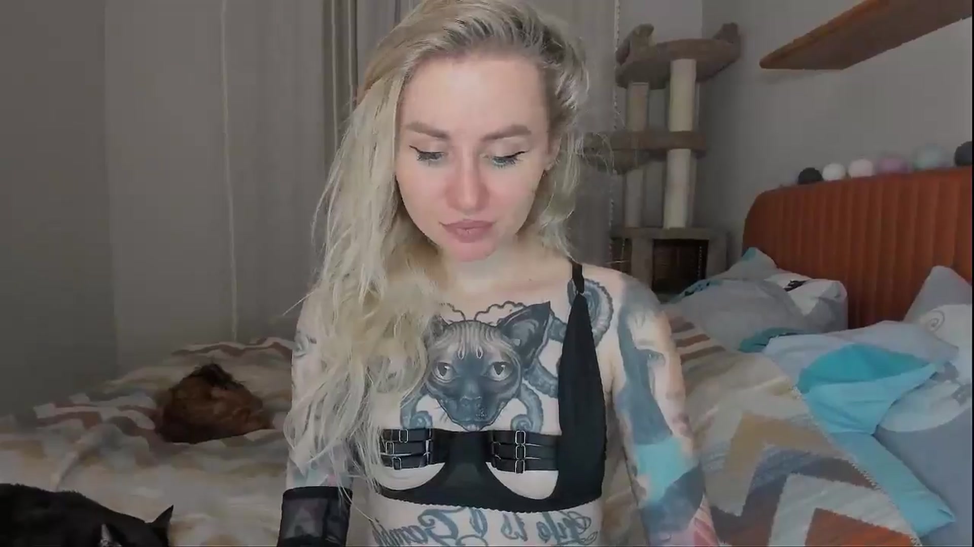 Gallery image thumbnail from Alexa_Smithhh's myfreecams stream on, 10/07/2025, 18:19 image 7 of 20