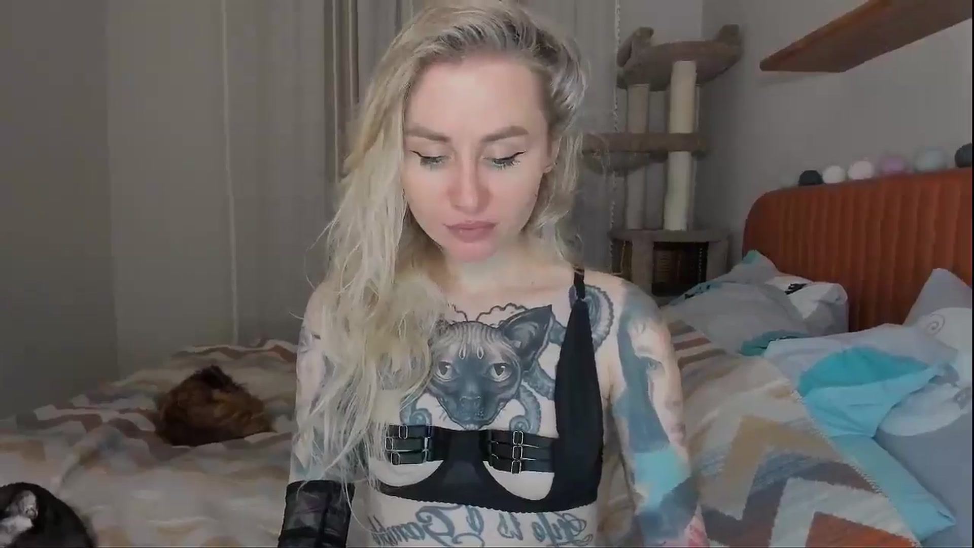 Gallery image thumbnail from Alexa_Smithhh's myfreecams stream on, 10/07/2025, 18:19 image 8 of 20