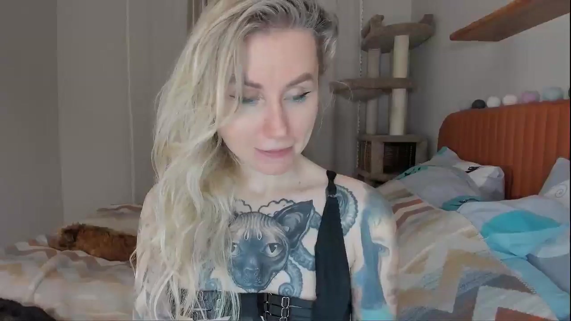 Gallery image thumbnail from Alexa_Smithhh's myfreecams stream on, 10/07/2025, 18:19 image 18 of 20