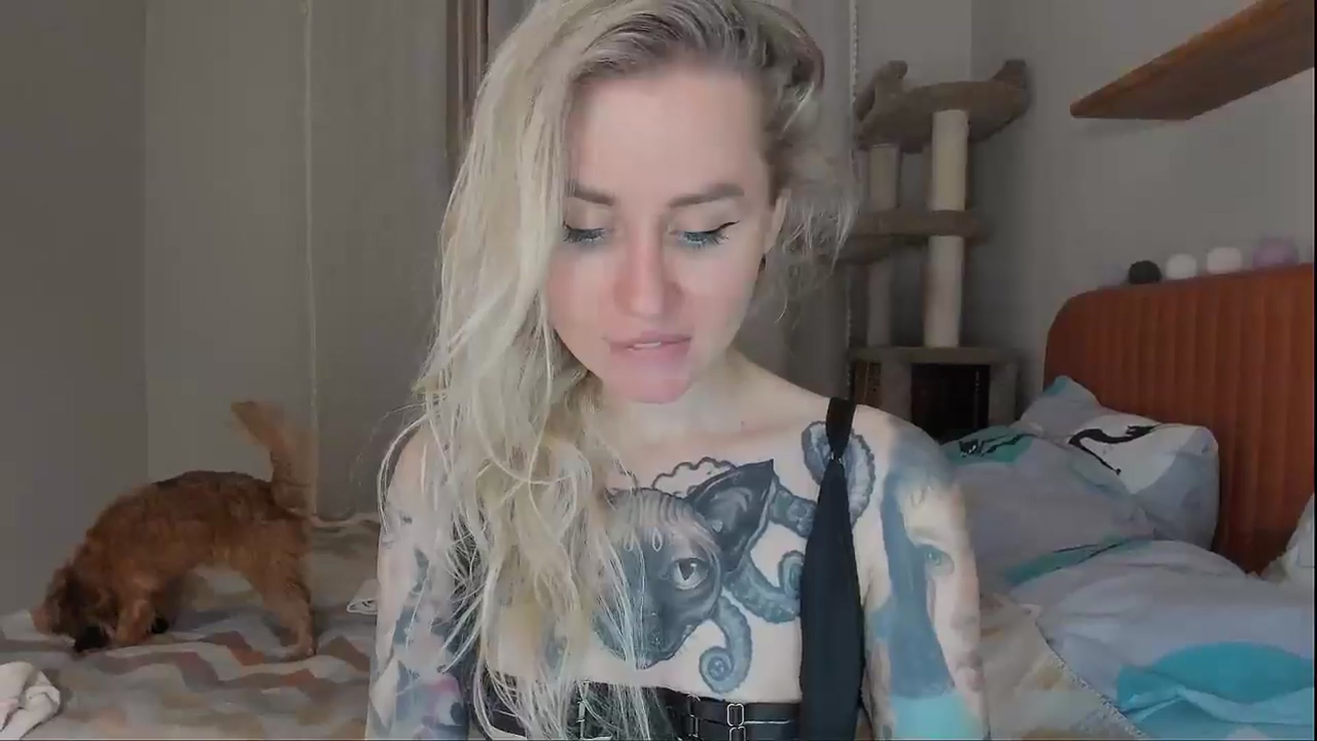 Gallery image thumbnail from Alexa_Smithhh's myfreecams stream on, 10/07/2025, 20:04 image 7 of 20