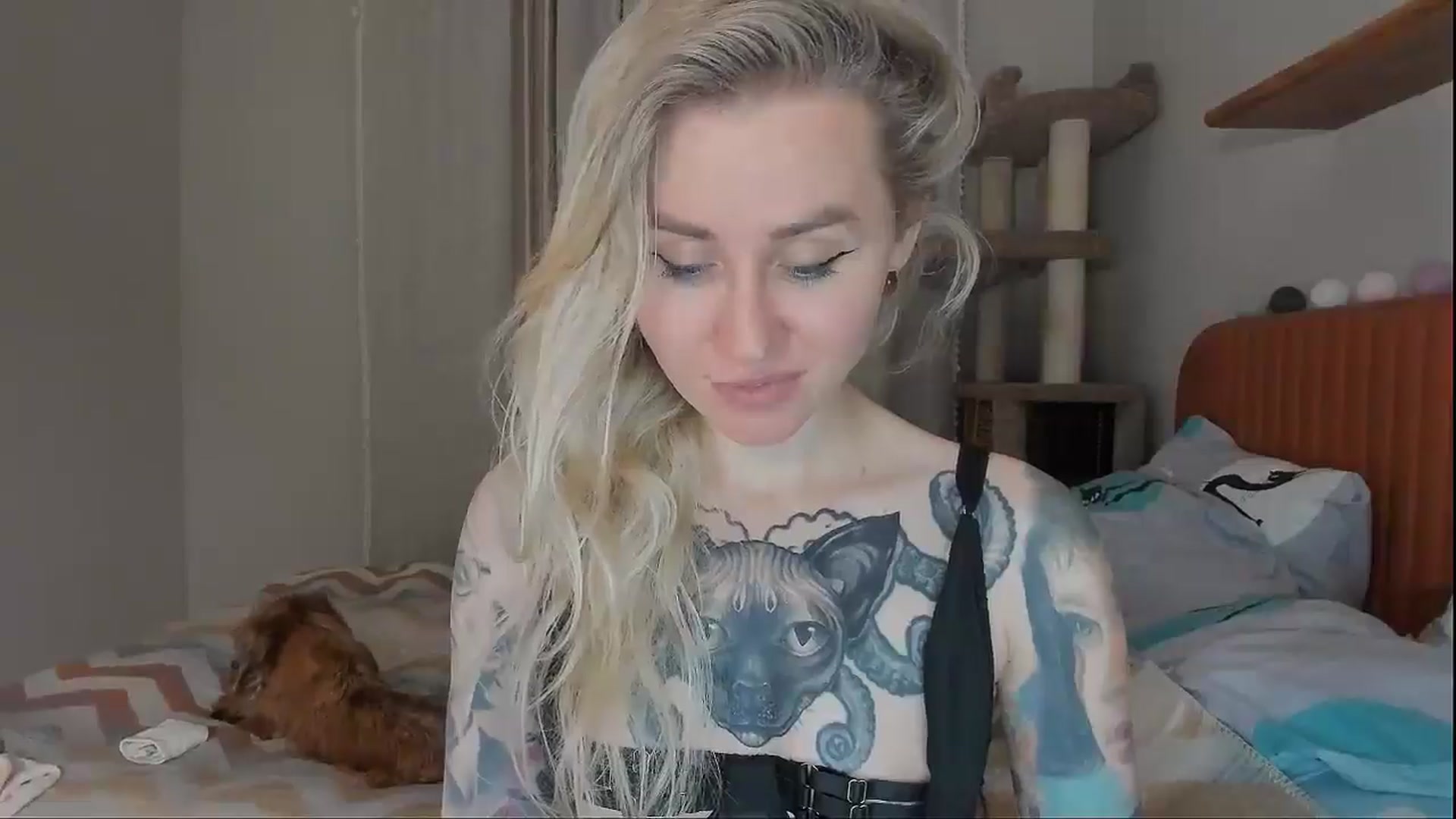 Gallery image thumbnail from Alexa_Smithhh's myfreecams stream on, 10/07/2025, 20:04 image 3 of 20