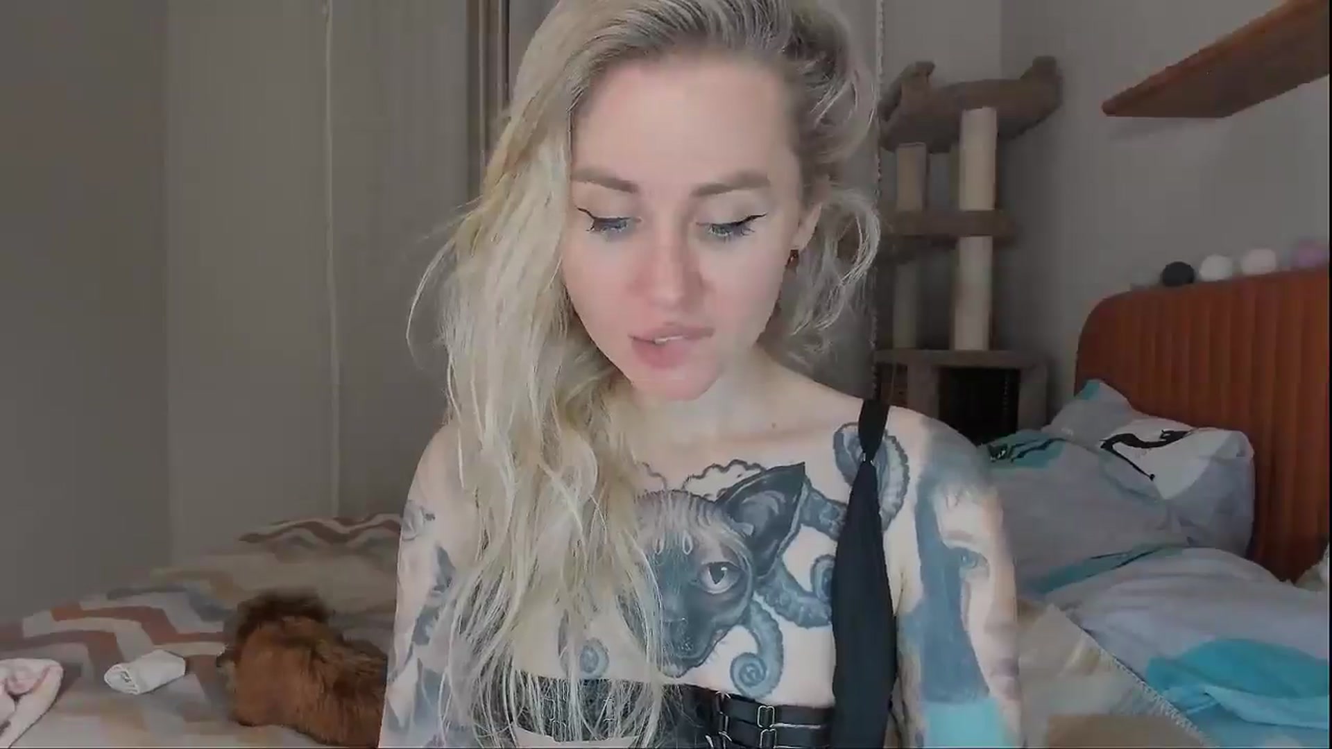 Gallery image thumbnail from Alexa_Smithhh's myfreecams stream on, 10/07/2025, 20:04 image 2 of 20