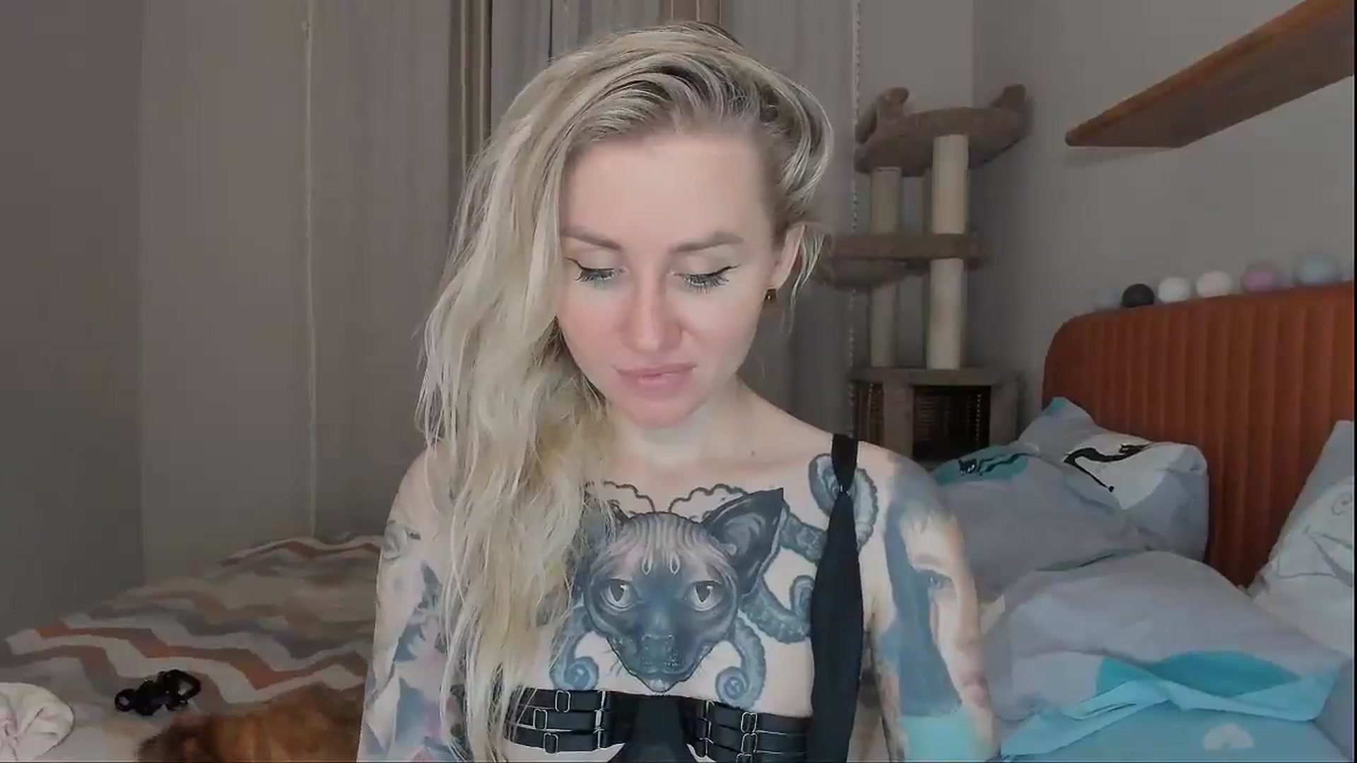 Gallery image thumbnail from Alexa_Smithhh's myfreecams stream on, 10/07/2025, 21:16 image 4 of 20