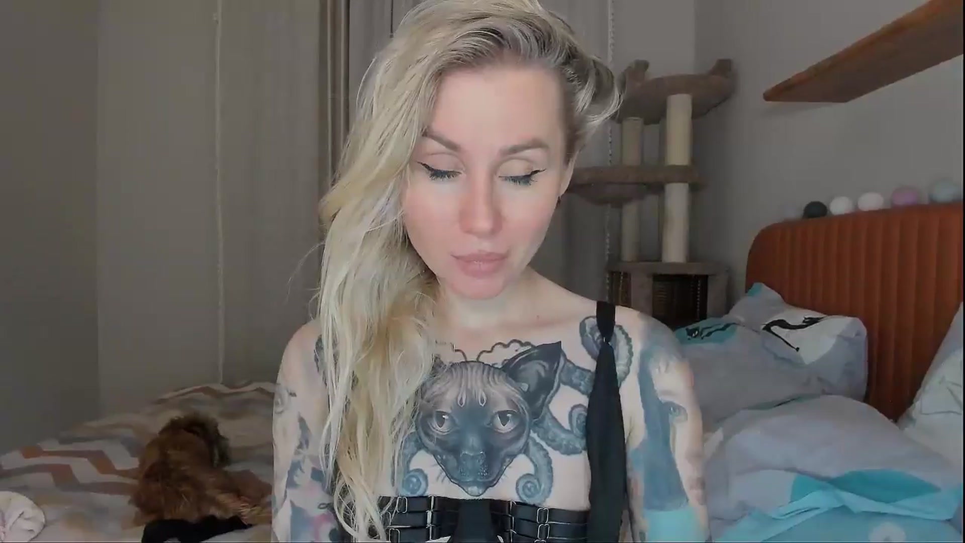Gallery image thumbnail from Alexa_Smithhh's myfreecams stream on, 10/07/2025, 21:16 image 2 of 20