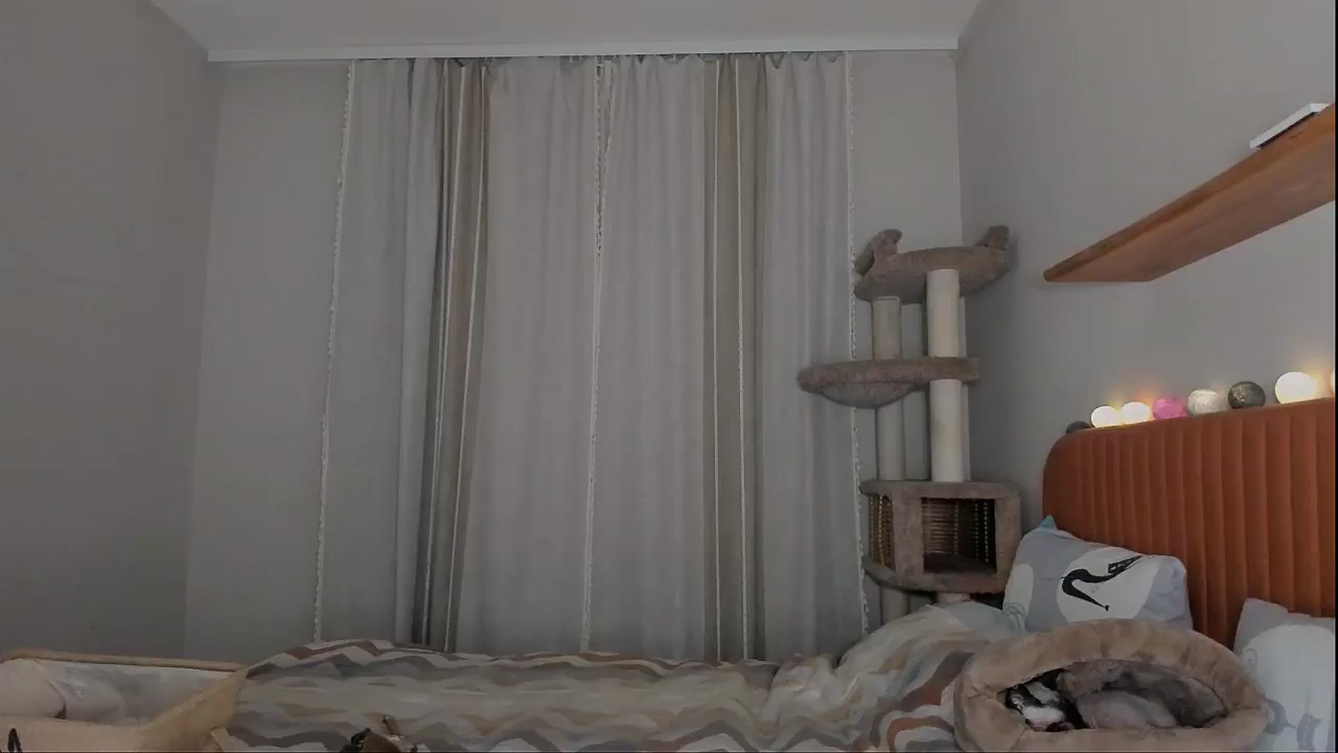 Gallery image thumbnail from Alexa_Smithhh's myfreecams stream on, 10/19/2025, 21:04 image 9 of 20