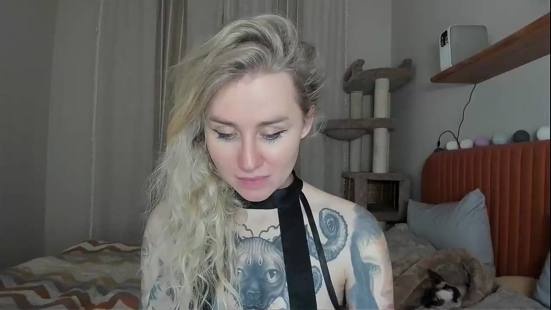 Gallery image thumbnail from Alexa_Smithhh's myfreecams stream on, 11/02/2025, 21:05 image 20 of 20