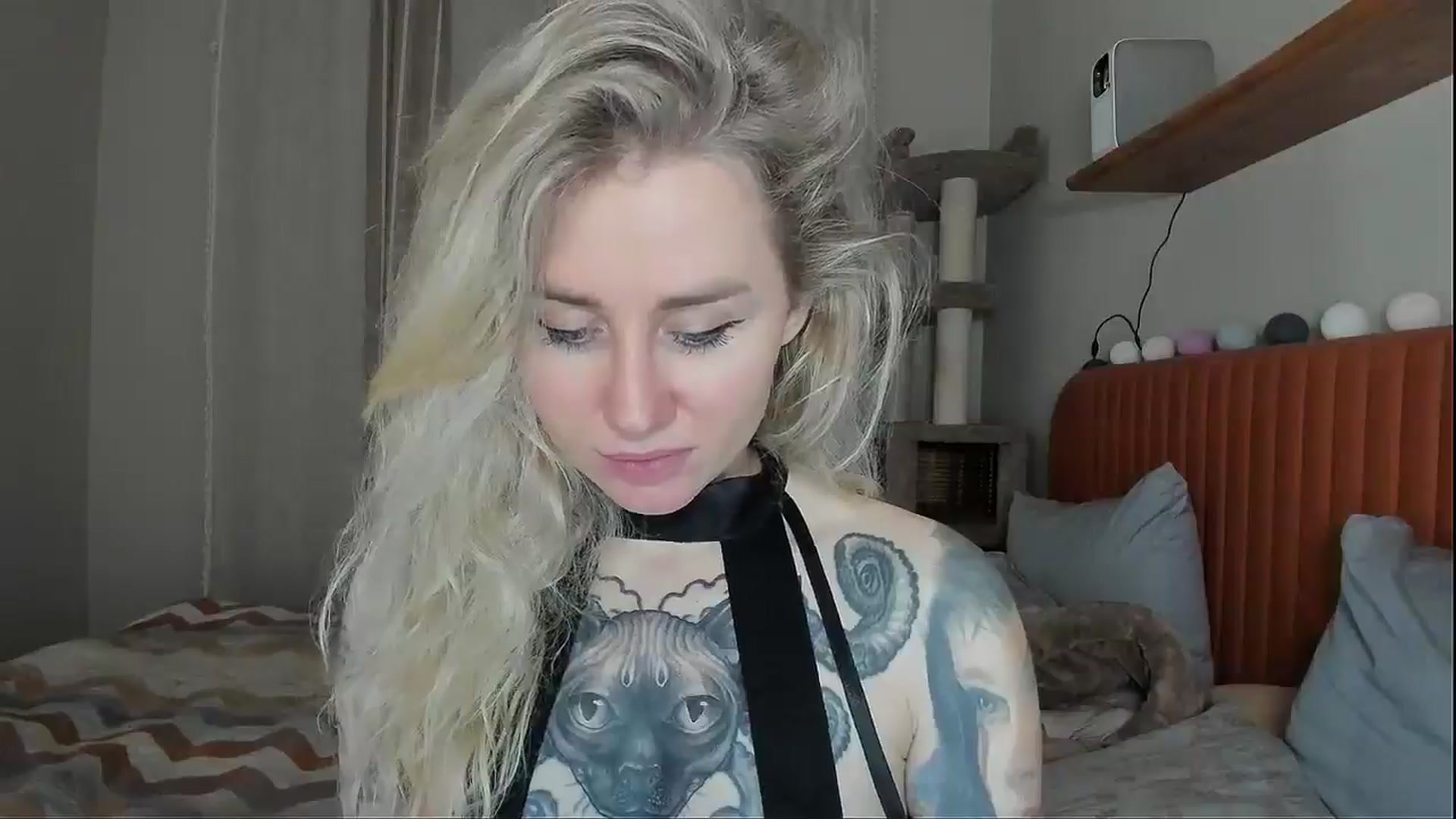 Gallery image thumbnail from Alexa_Smithhh's myfreecams stream on, 11/02/2025, 21:05 image 13 of 20