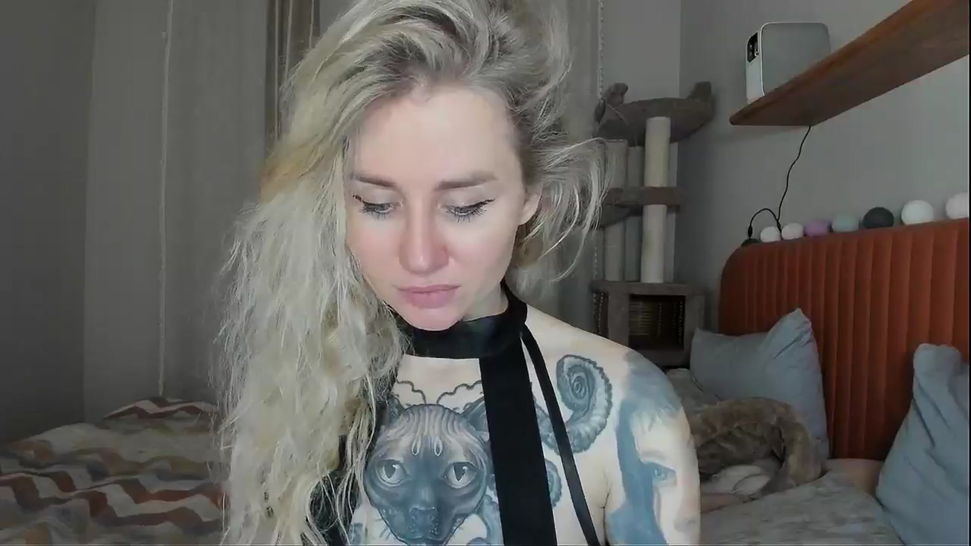 Gallery image thumbnail from Alexa_Smithhh's myfreecams stream on, 11/02/2025, 21:05 image 12 of 20
