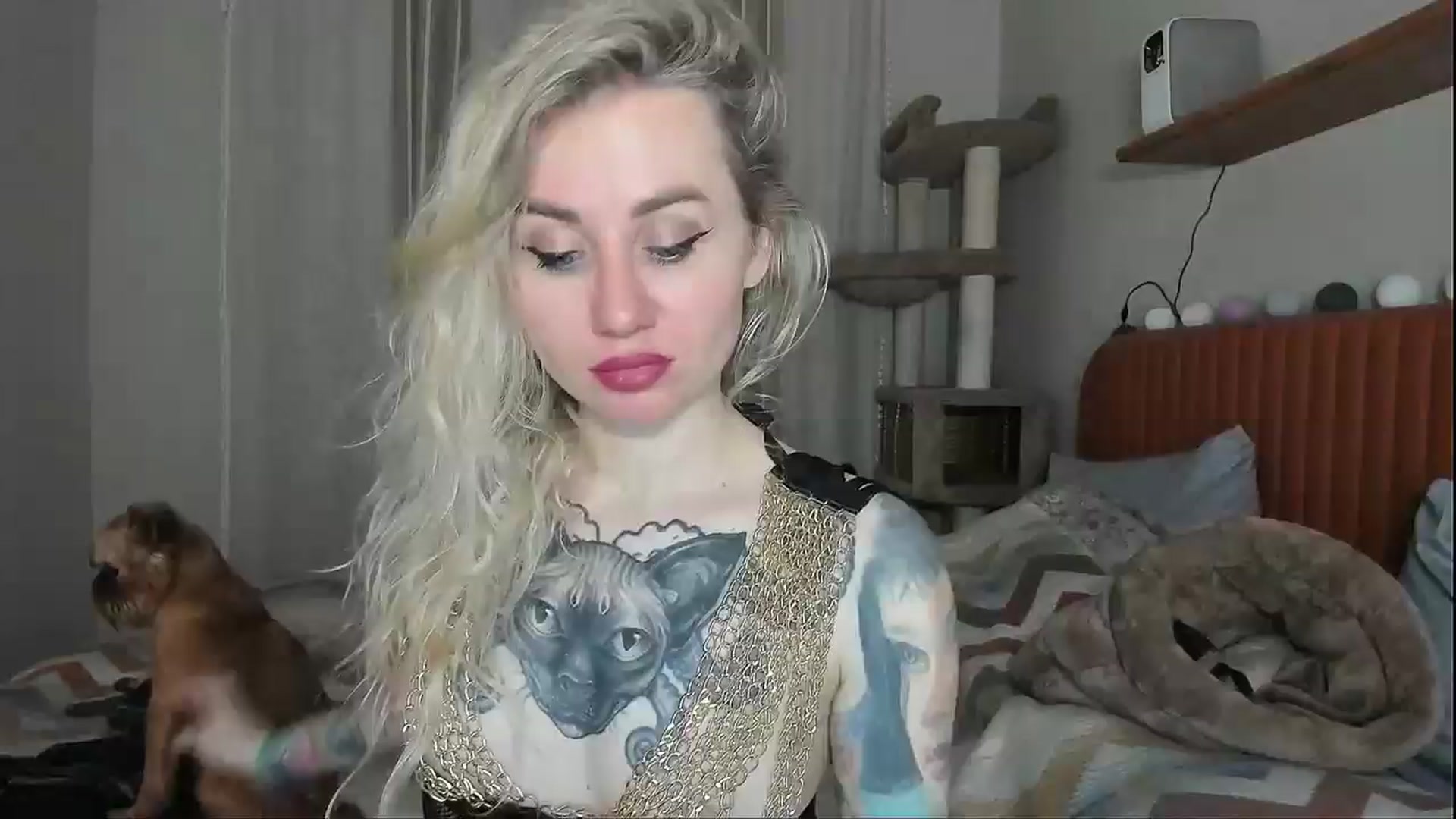 Gallery image thumbnail from Alexa_Smithhh's myfreecams stream on, 11/03/2025, 20:16 image 1 of 20