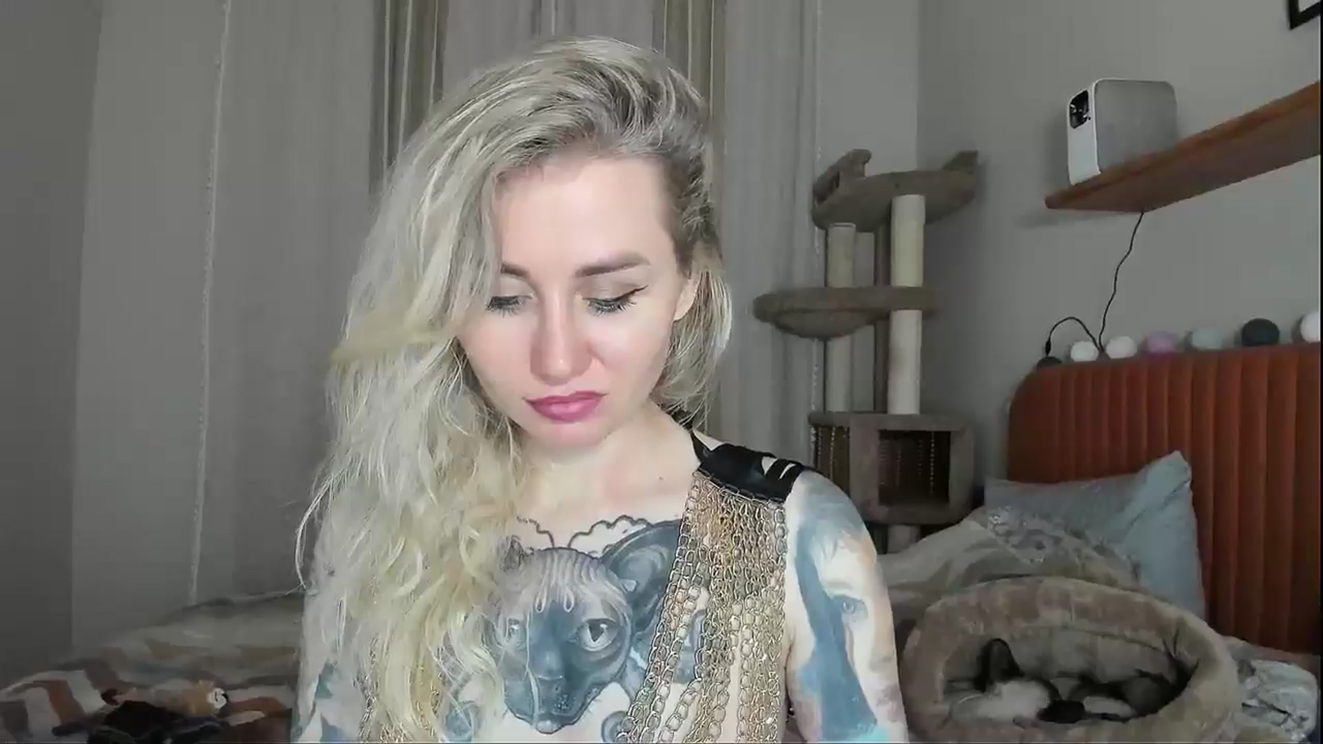 Gallery image thumbnail from Alexa_Smithhh's myfreecams stream on, 11/03/2025, 20:16 image 14 of 20