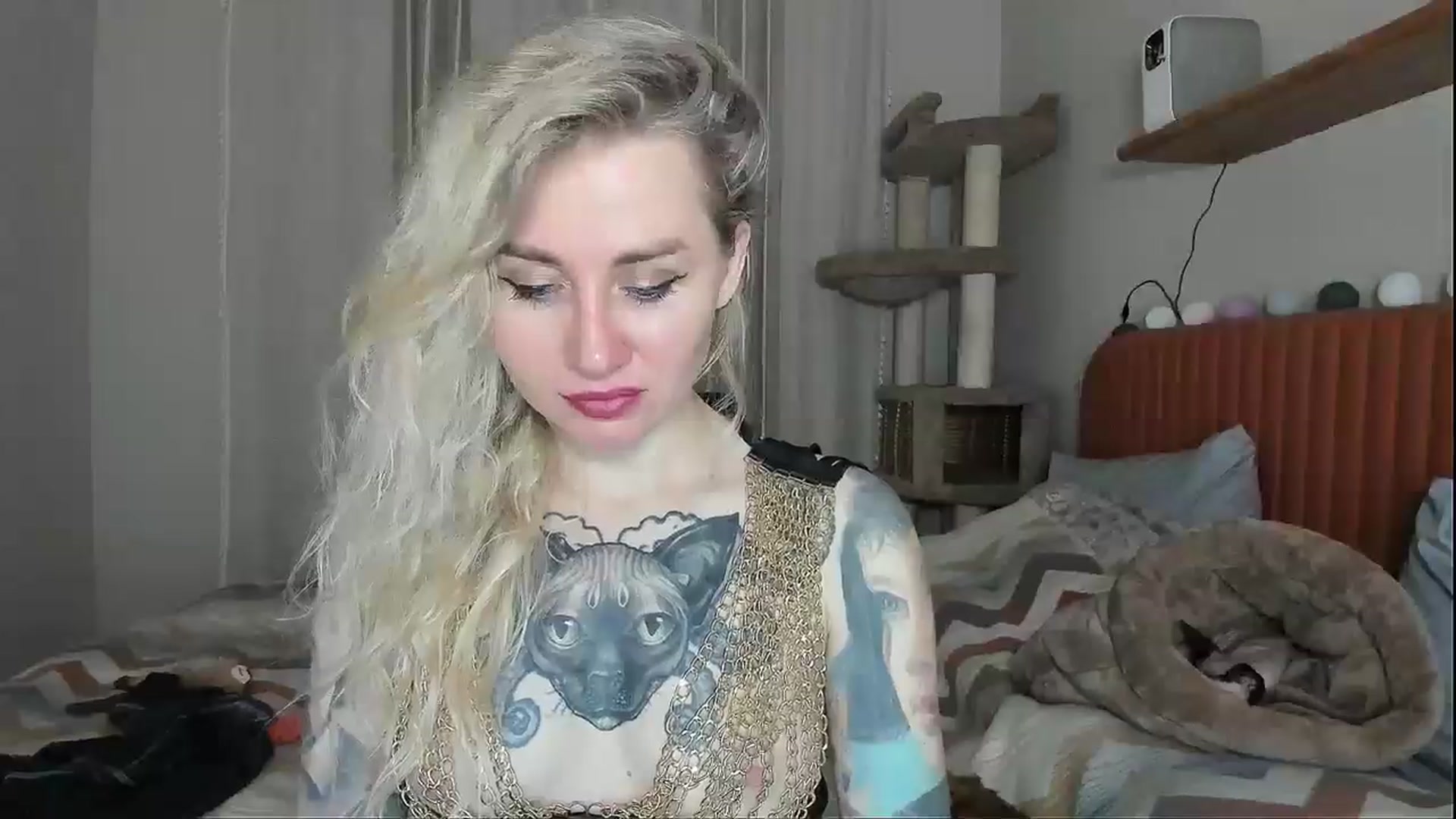Gallery image thumbnail from Alexa_Smithhh's myfreecams stream on, 11/03/2025, 20:16 image 2 of 20