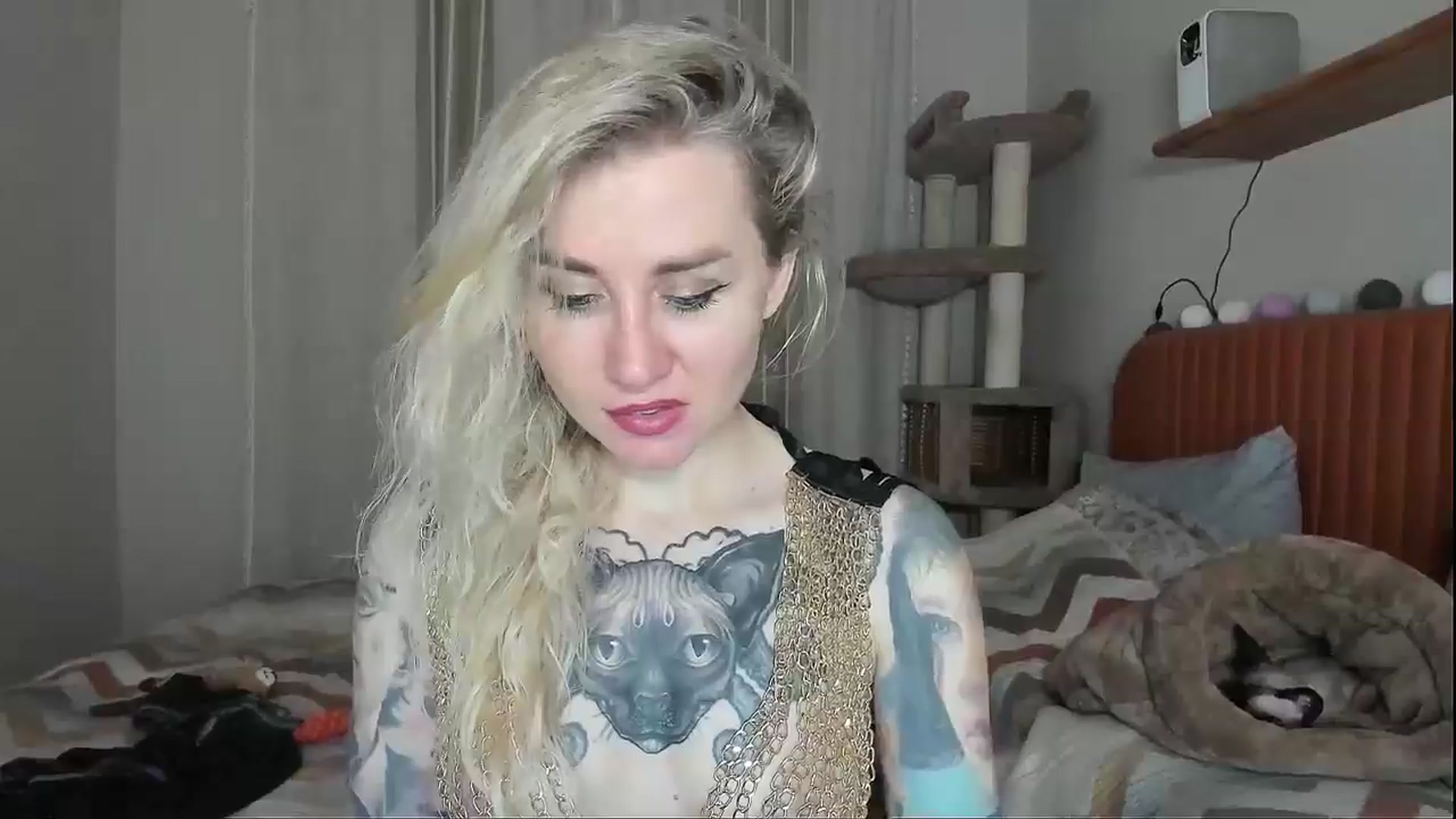 Gallery image thumbnail from Alexa_Smithhh's myfreecams stream on, 11/03/2025, 20:16 image 7 of 20