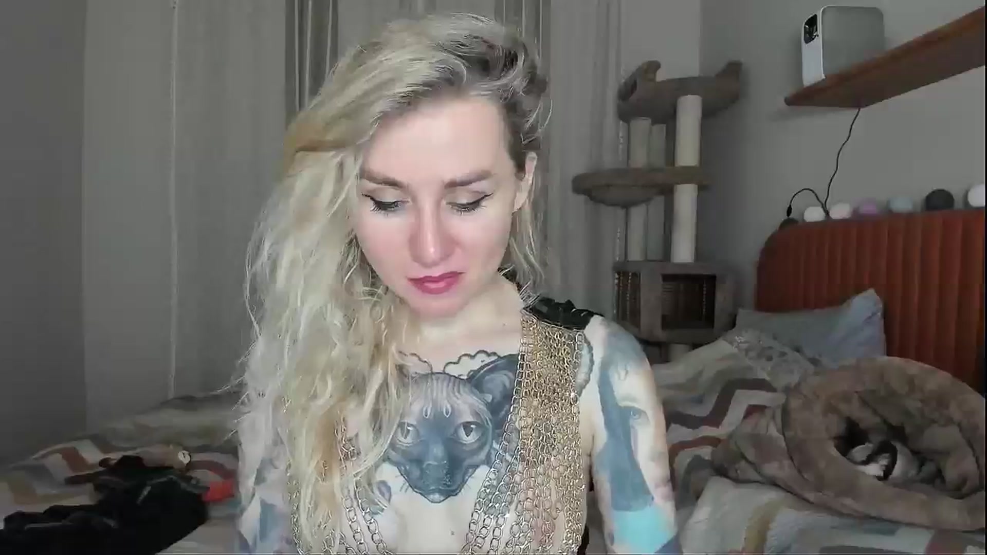 Gallery image thumbnail from Alexa_Smithhh's myfreecams stream on, 11/03/2025, 20:16 image 6 of 20