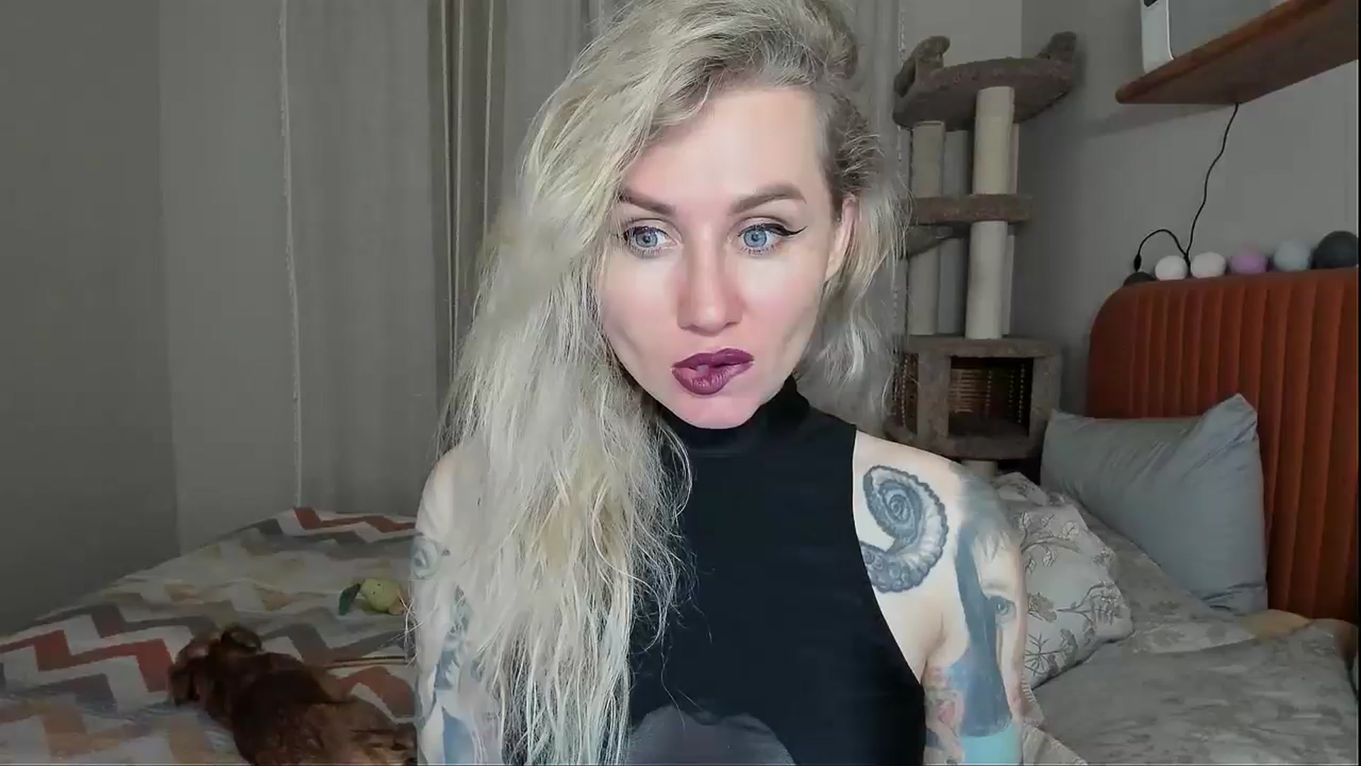 Gallery image thumbnail from Alexa_Smithhh's myfreecams stream on, 11/06/2025, 18:53 image 3 of 20