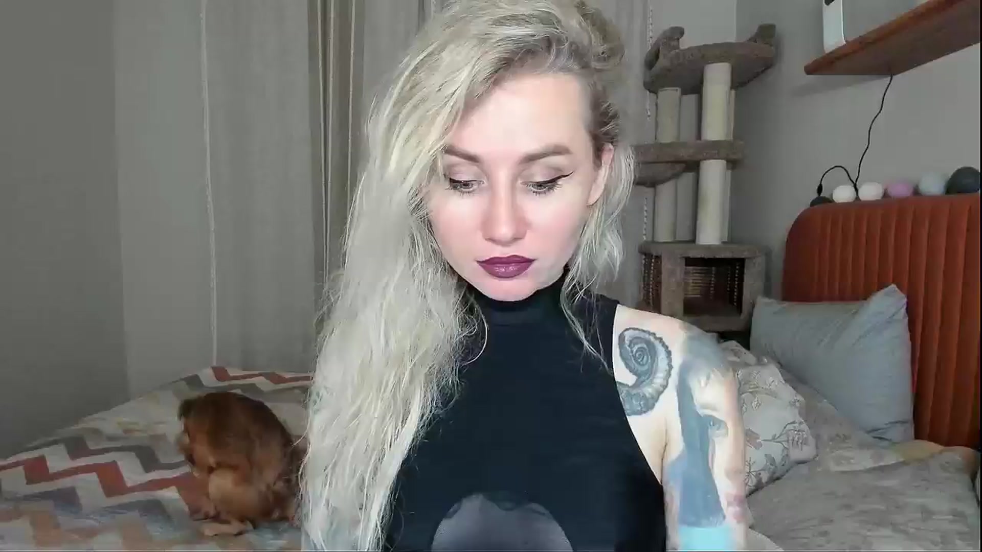 Gallery image thumbnail from Alexa_Smithhh's myfreecams stream on, 11/06/2025, 18:53 image 1 of 20