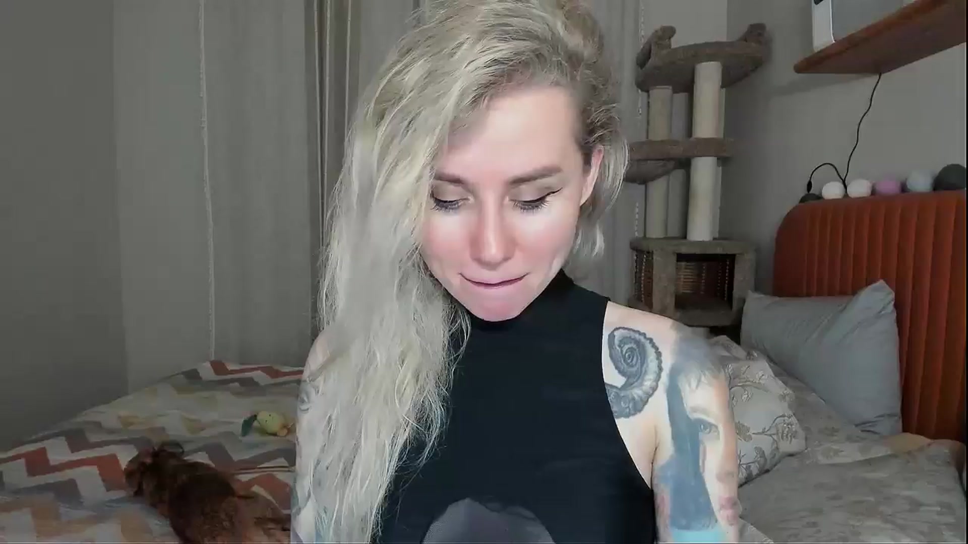 Gallery image thumbnail from Alexa_Smithhh's myfreecams stream on, 11/06/2025, 18:53 image 2 of 20