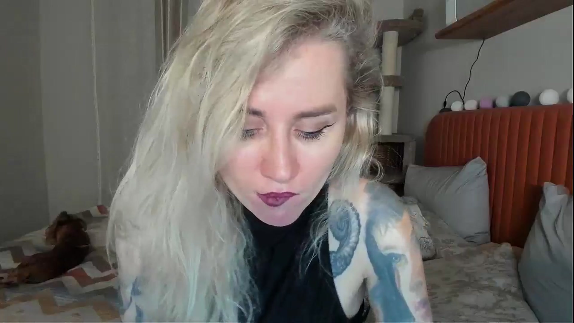 Gallery image thumbnail from Alexa_Smithhh's myfreecams stream on, 11/06/2025, 20:50 image 4 of 20